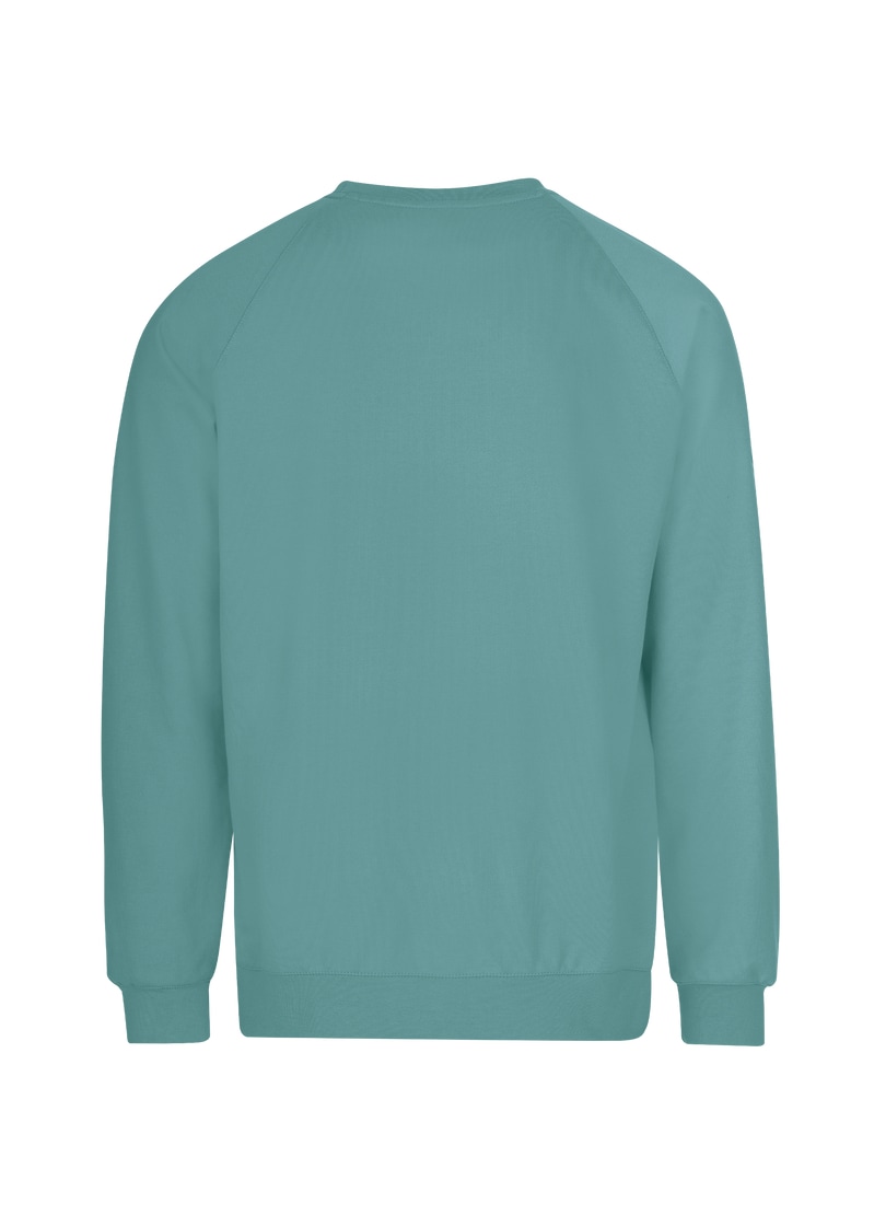 Trigema Sweatshirt »TRIGEMA Sweatshirt mit angerauter Innenseite«