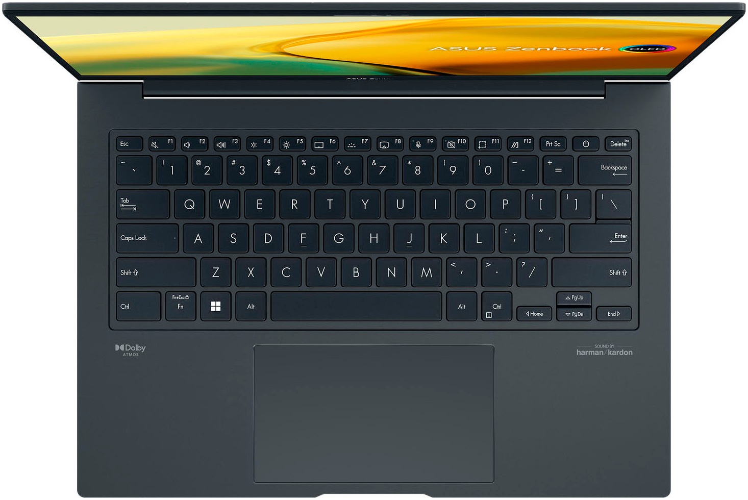 Asus Notebook »Zenbook 14X OLED UX3404VA-M9092W«, 36,8 cm, / 14,5 Zoll, Intel, Core i9, Iris Xe Graphics, 1000 GB SSD