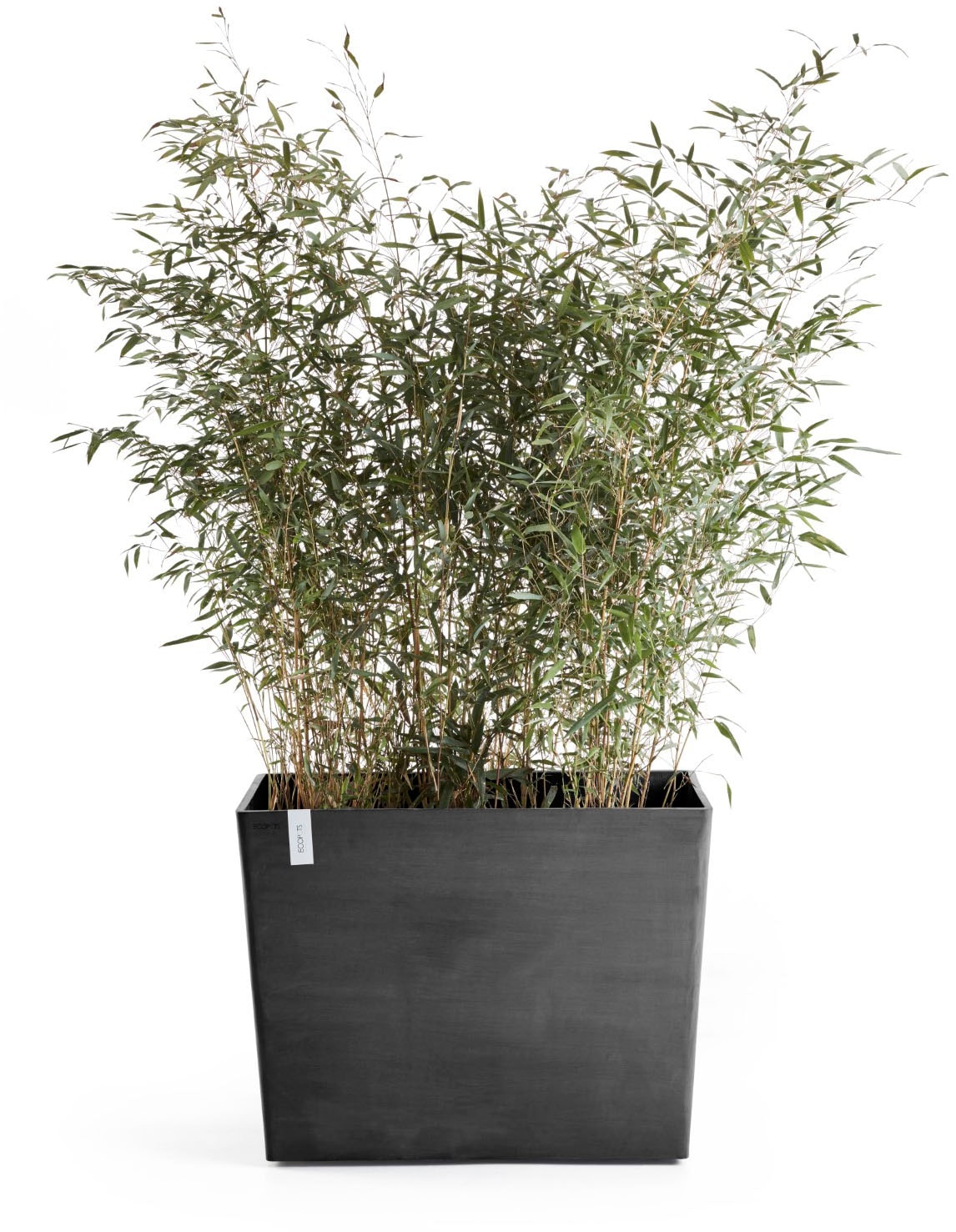 ECOPOTS Blumentopf »Paris« BxTxH: 85x40x65 cm