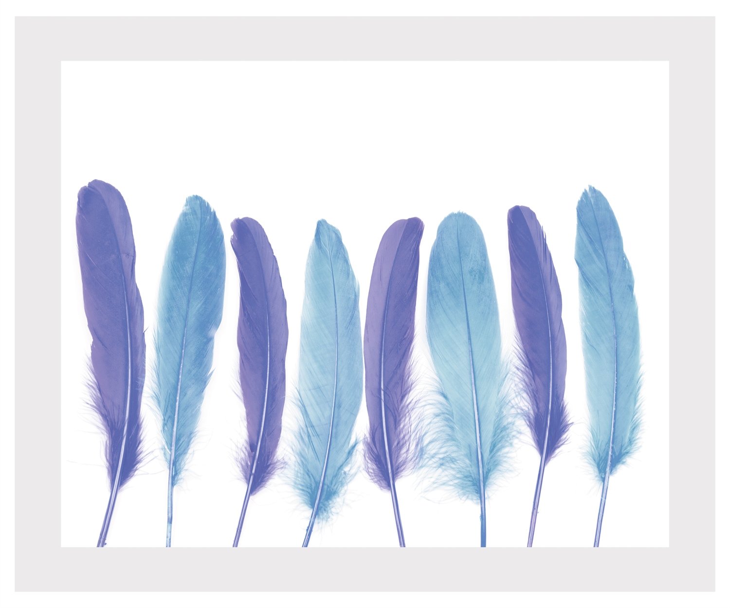 queence Bild »Bello«, Federn, gerahmt, Federn
