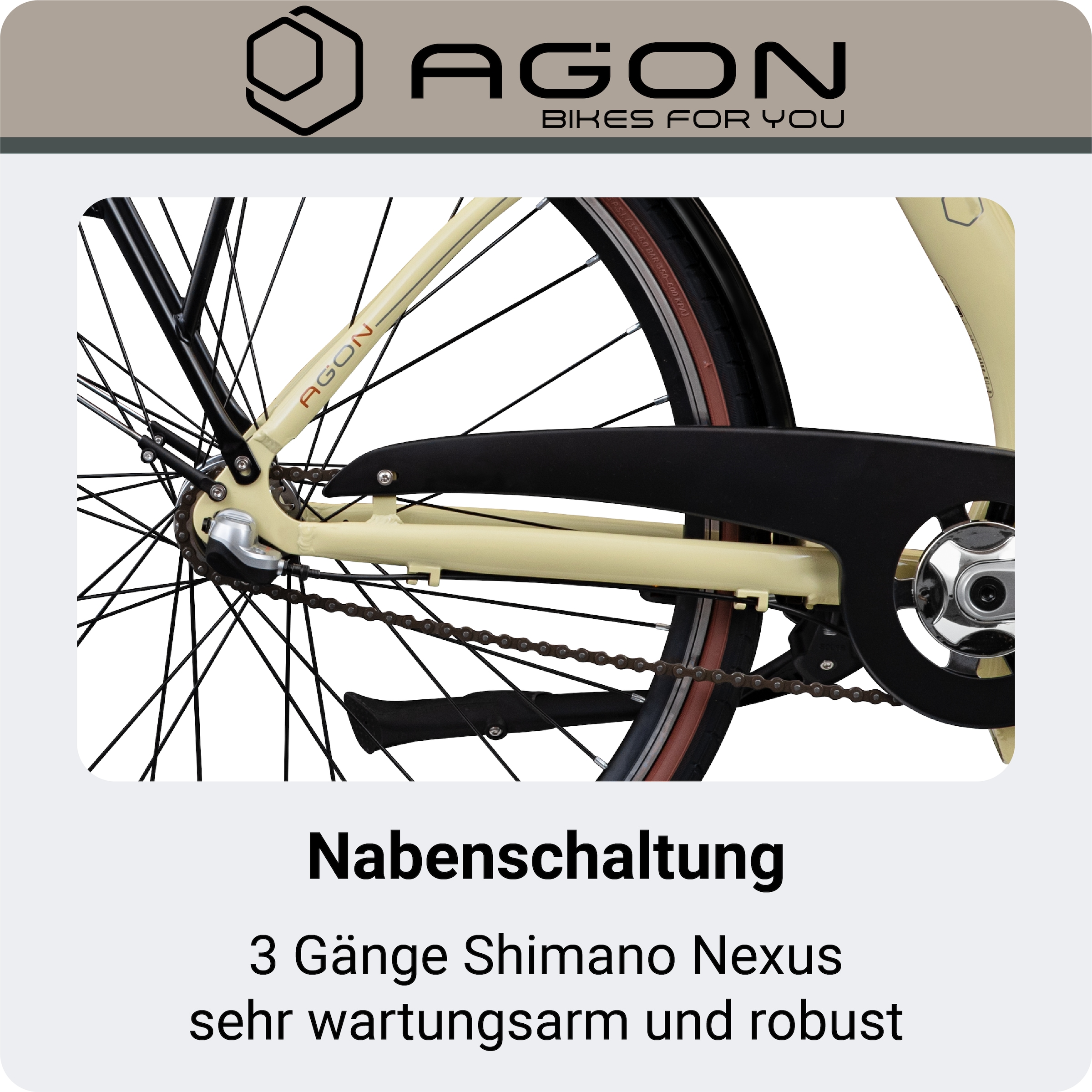 AGON »Assist« 3 Gang Nabenschaltung Frontmotor 250 W