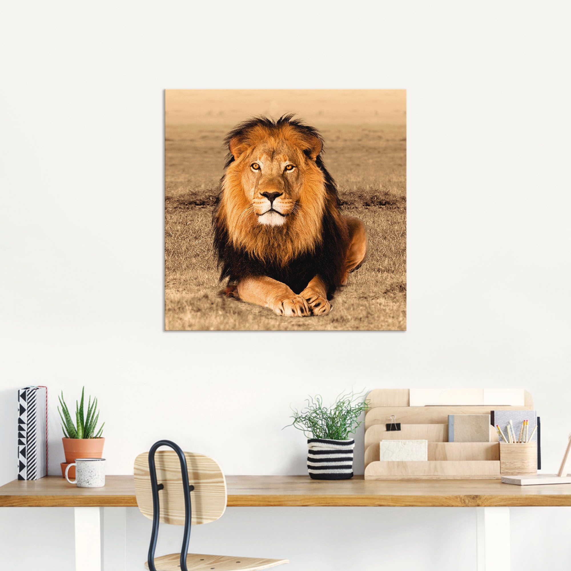 Wandbild ARTLAND "Löwe", braun (farbe bild(er): braun), B:30cm H:30cm, Bilder, als Alubild, Leinwandbild, Poster in verschied. Größen 2