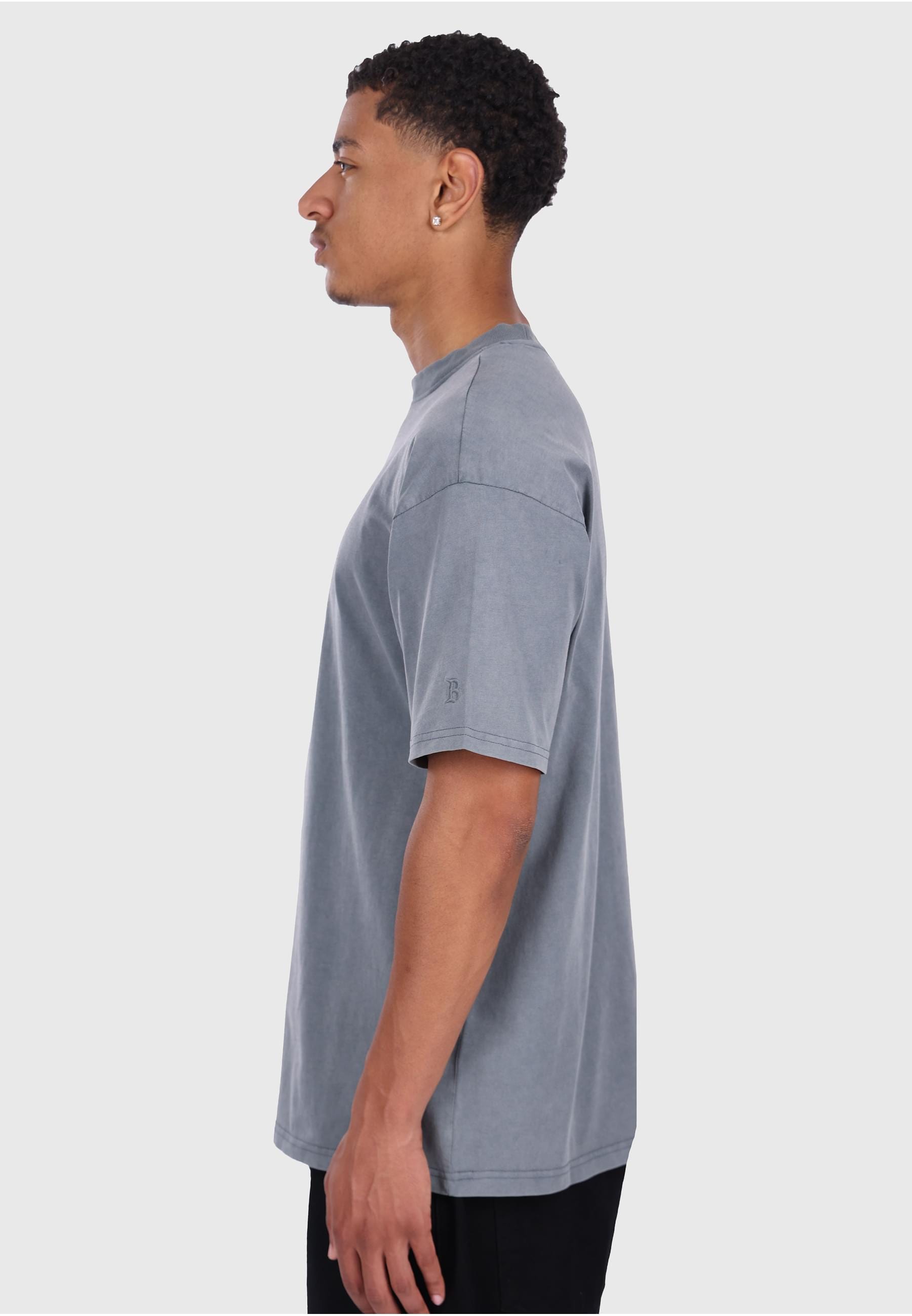 Dropsize T-Shirt »Dropsize Regular Fit T-Shirt«, (1 tlg.)