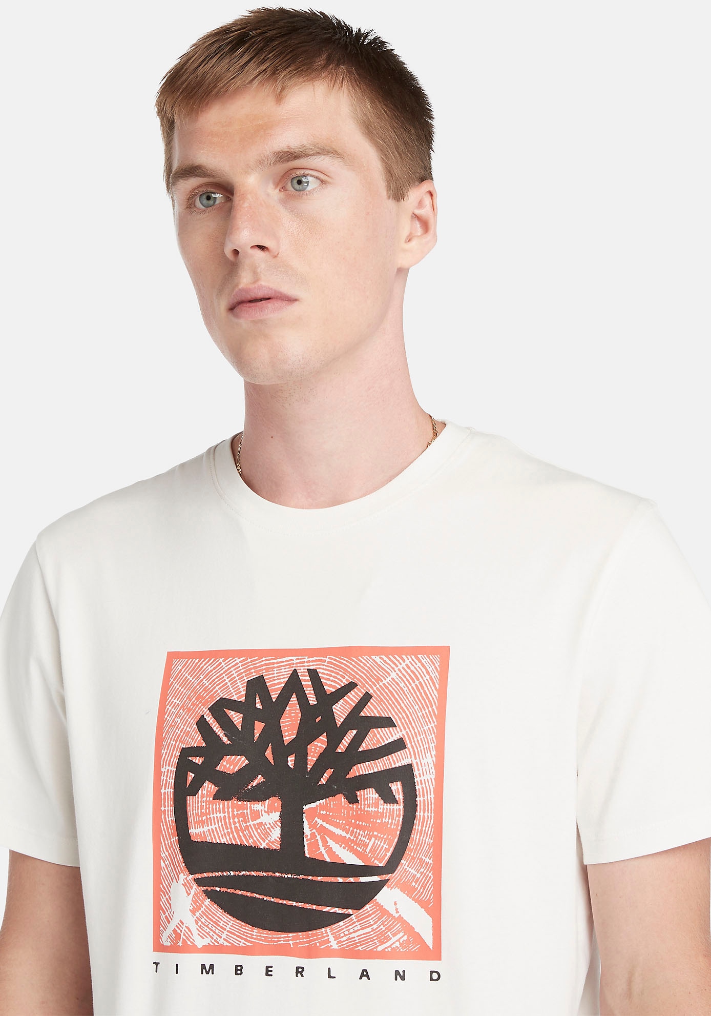 Timberland T-Shirt "Short Sleeve Front Graphic Tee", in großen Größen günstig online kaufen