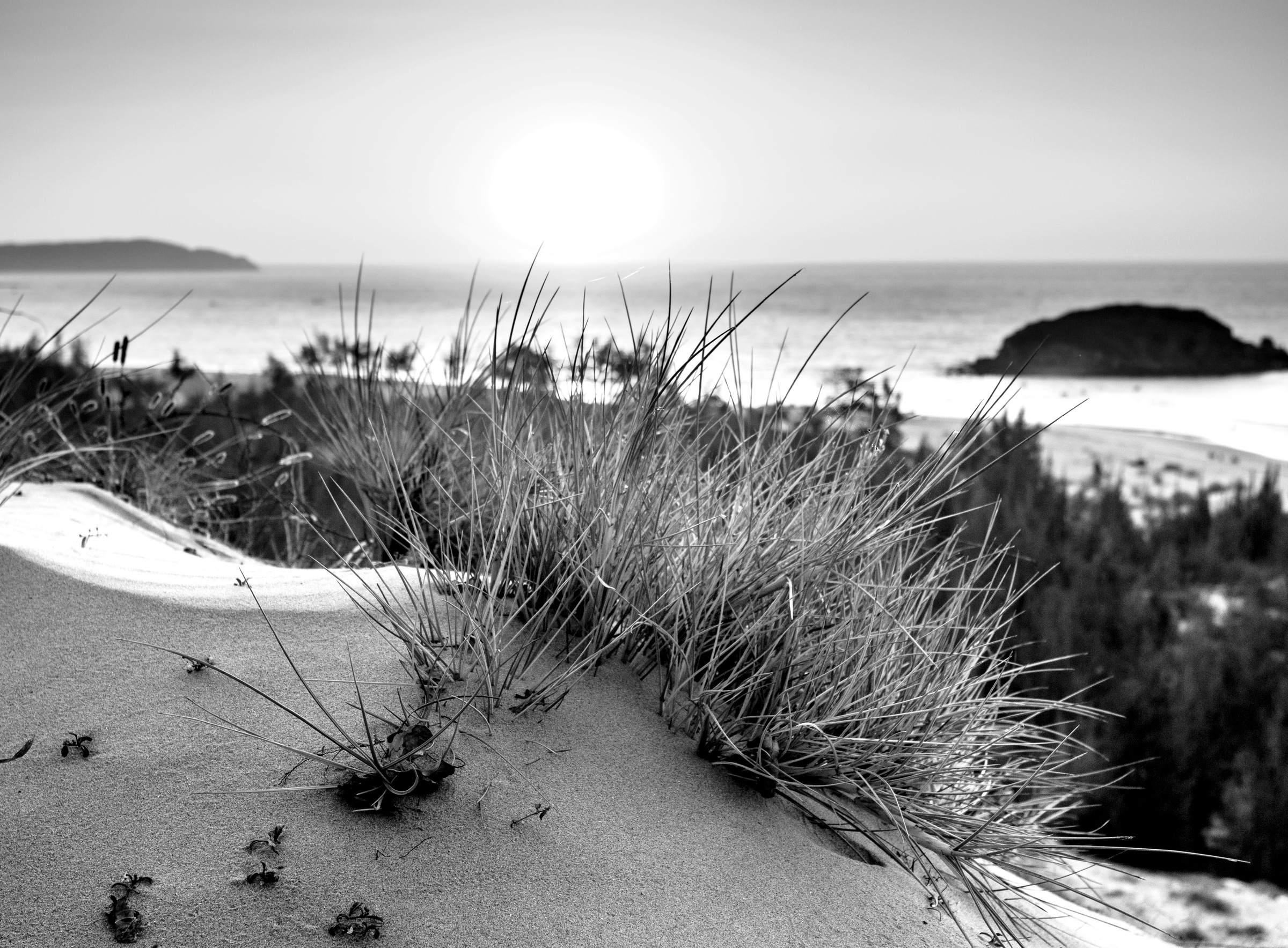 Papermoon Fototapete "Strand Schwarz & Weiß"