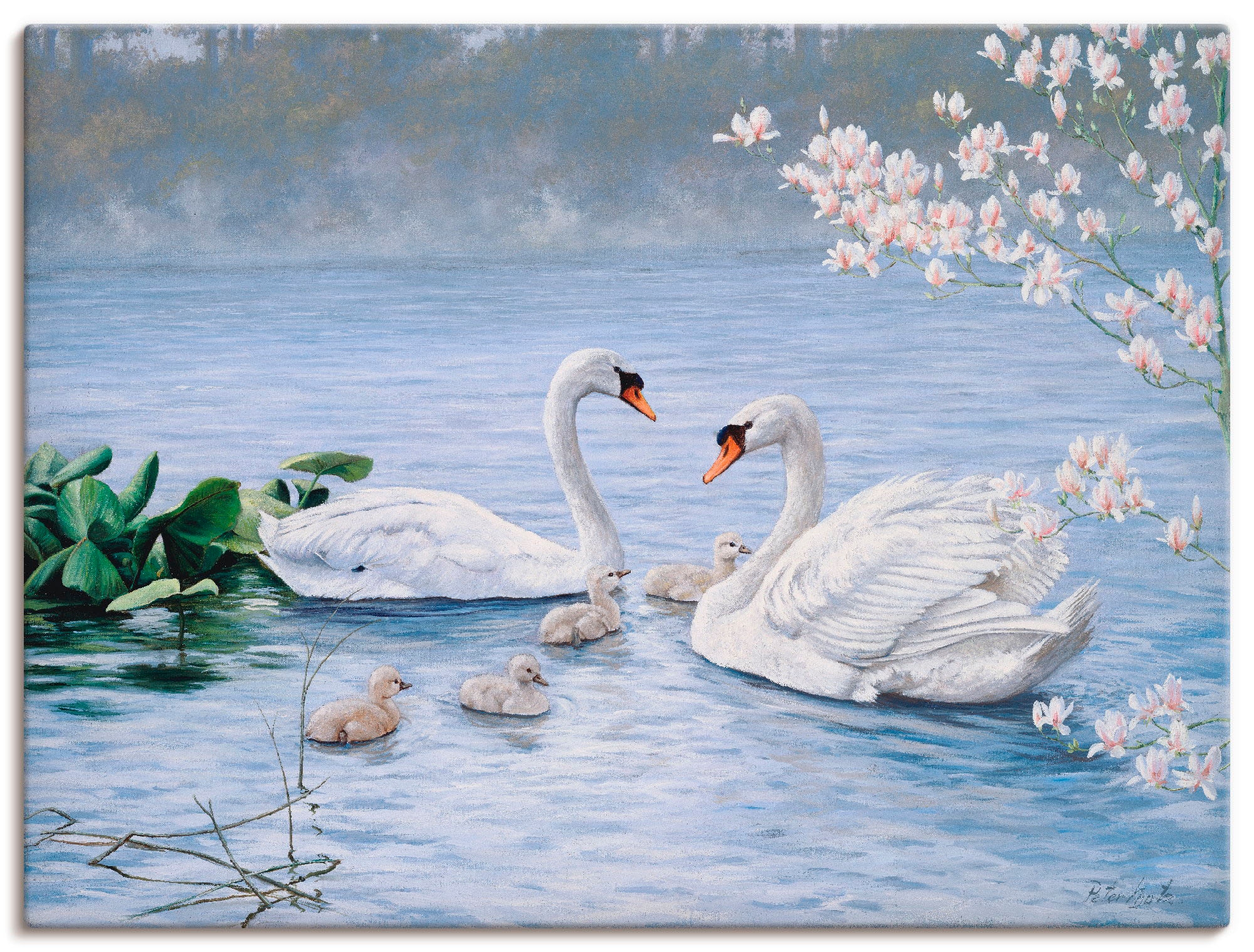 Artland Leinwandbild "Stolze Schwanenfamilie" Vögel 1 Stk. tlg. auf Keilrah günstig online kaufen