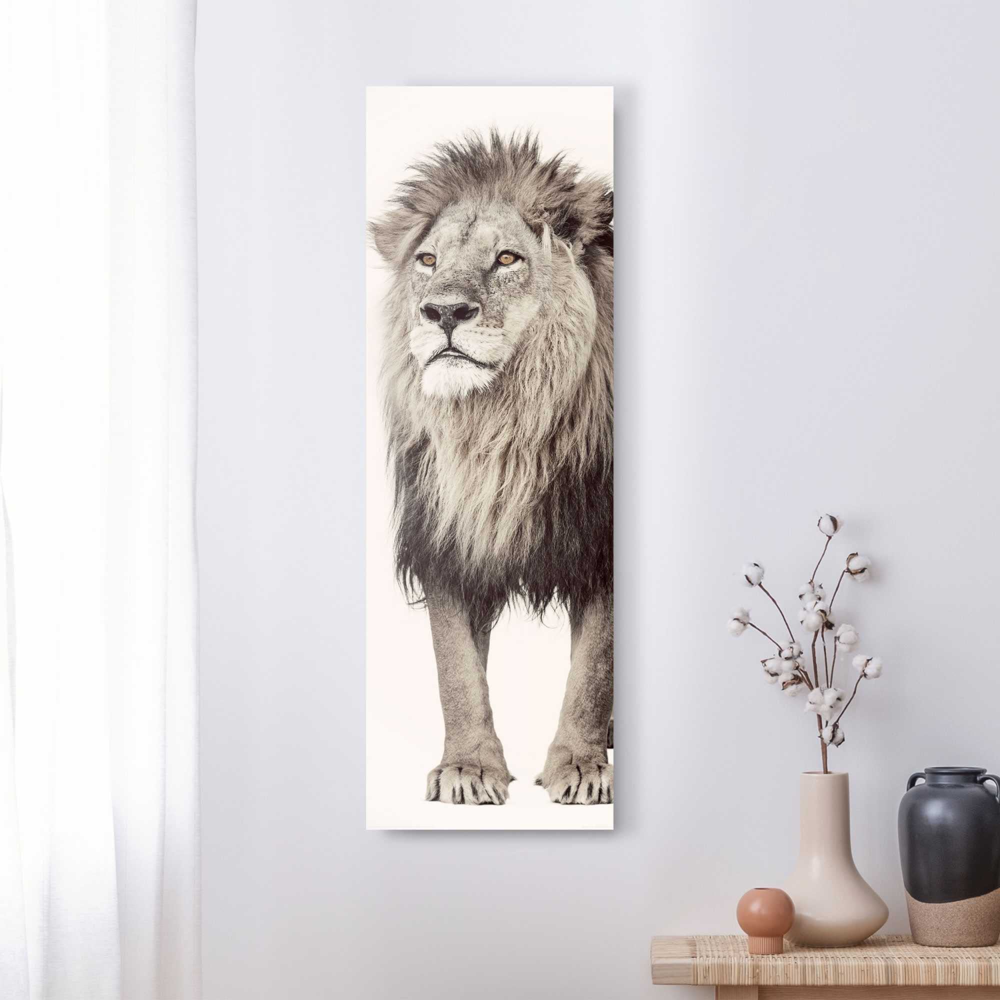 Reinders! Wandbild »Wandbild Löwe König bestellen - - BAUR (1 Dschungels Löwen, | Raubtier St.) des Kräftig«