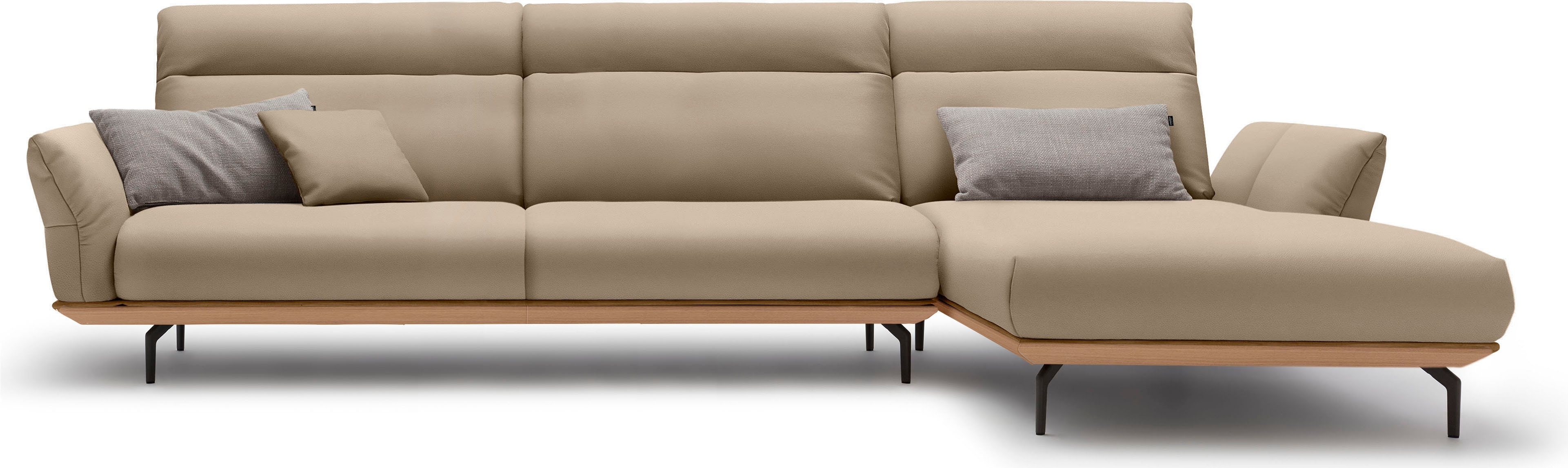 Creation BY ROLF BENZ Ecksofa "CR.460, Design-Sofa der Extraklasse, verstellbare Rückenlehne, L-Form" Sockel in Eiche, Winkelfüße in Umbragrau, Breite 338 cm