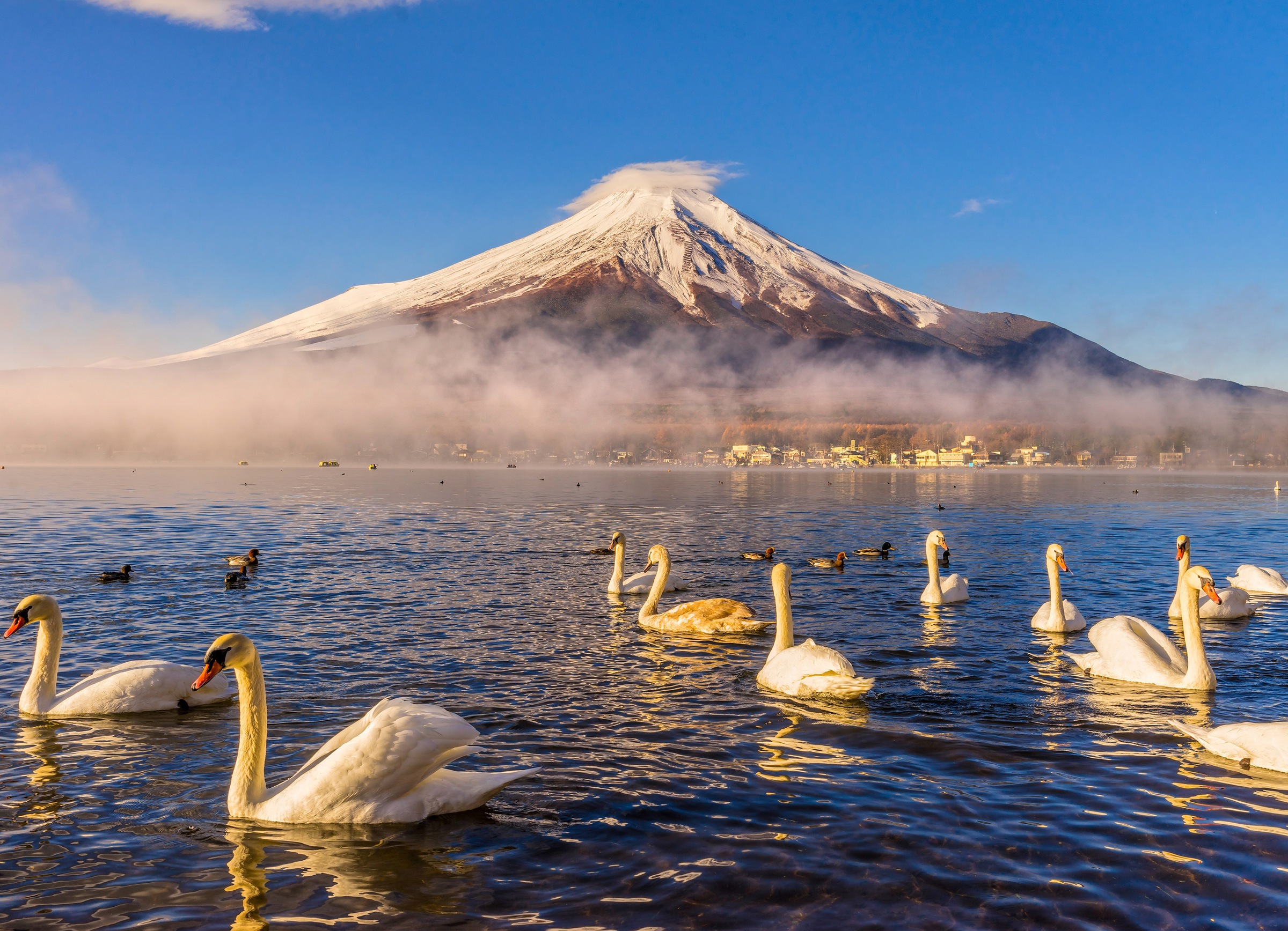 Papermoon Fototapetas »Mount Fuji«