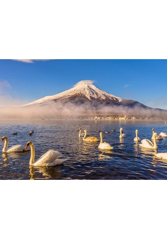 Papermoon Fototapetas »Mount Fuji«