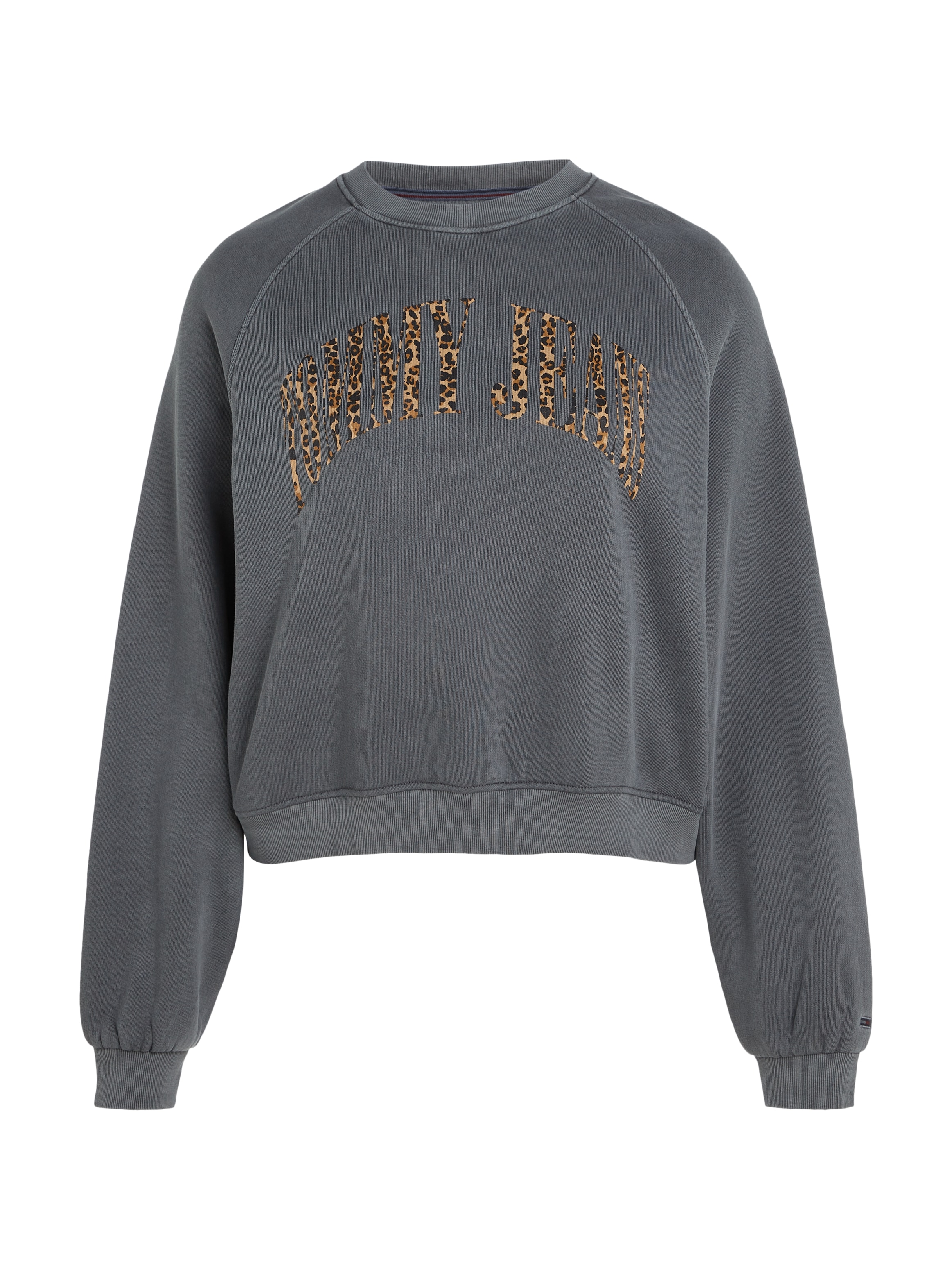 Tommy Jeans Curve Sweatshirt SIZE BAUR CRV | PLUS CURVE RLX für kaufen »TJW LEO CREW«
