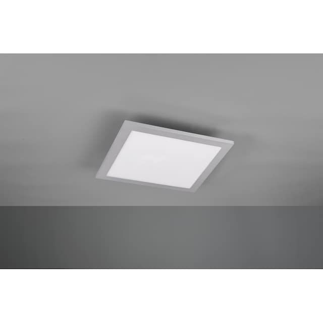 TRIO Leuchten LED Deckenleuchte »ALIMA«, 1 flammig-flammig, LED Deckenlampe  kaufen | BAUR