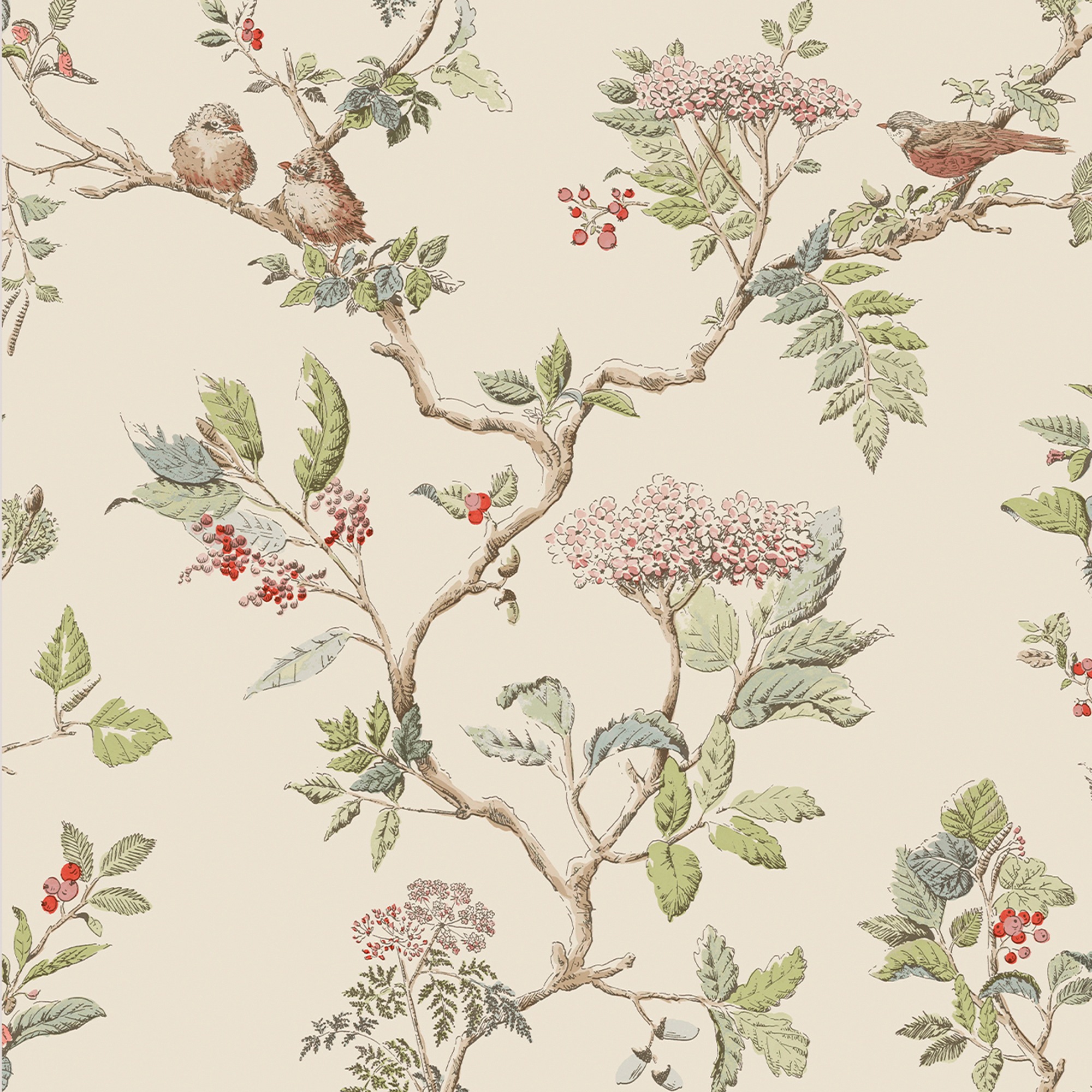 Papier peint intissé à motif branches Elderwood – Dimensions 1005 x 52 cm – Beige – Application directe sur mur – Résistant à la lumière – Laura