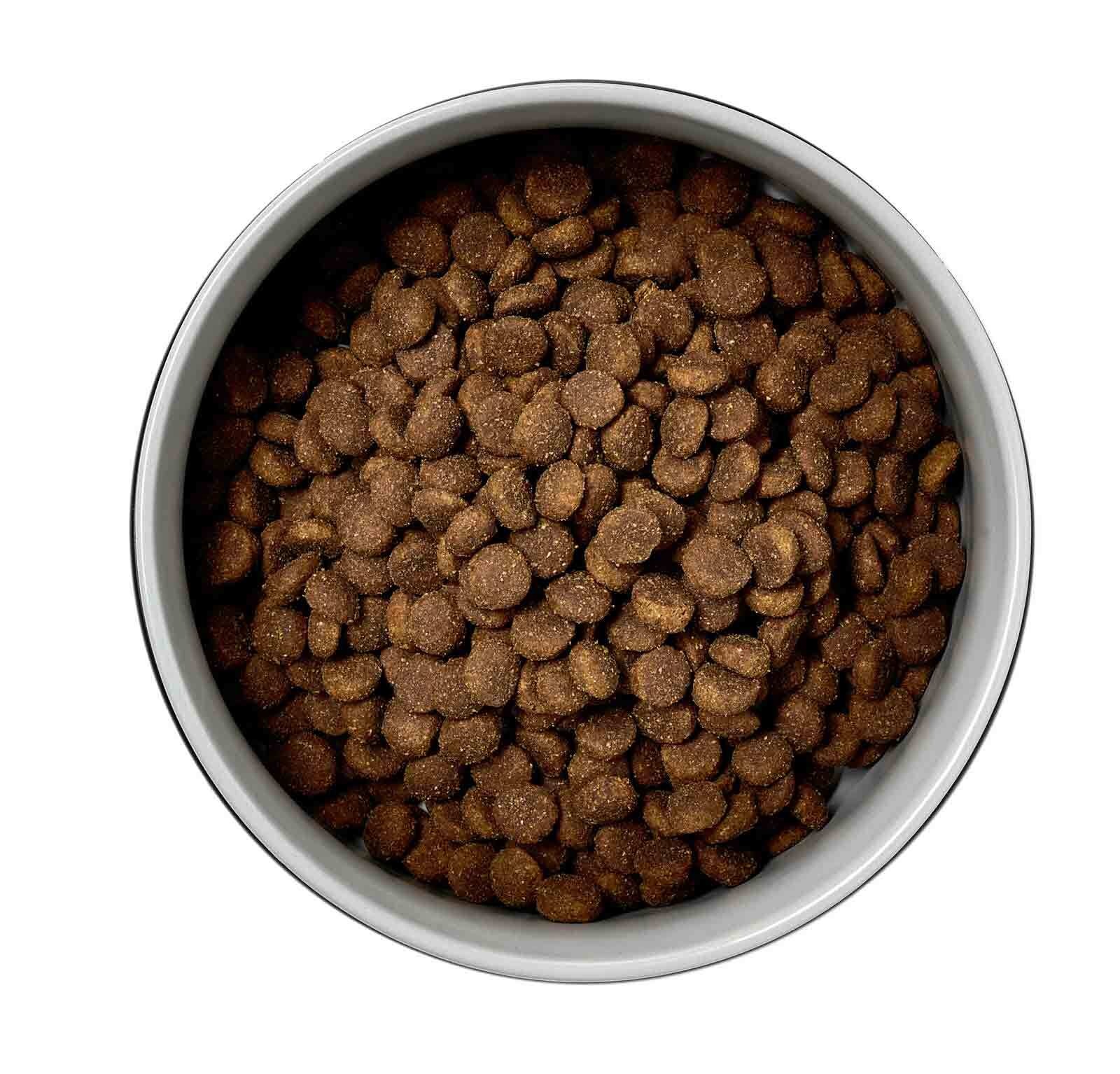 Ritzenhoff & Breker Futternapf »Hundenäpfe mit Unterlage Taro ø 21 cm 2er Set grau« Spülmaschinengeeignet