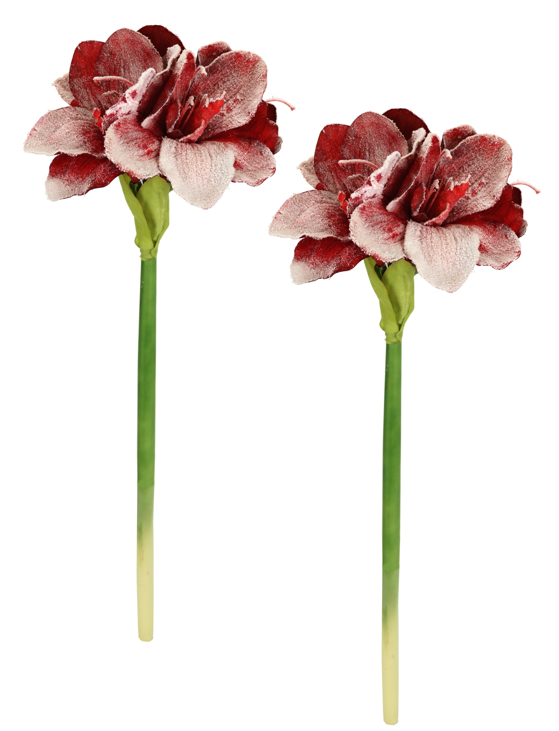 I.GE.A. Kunstblume »Amaryllis mit Kunstschnee«, 2er Set Zweige Winterblume Dekozweig Weihnachtsdeko Winterdeko