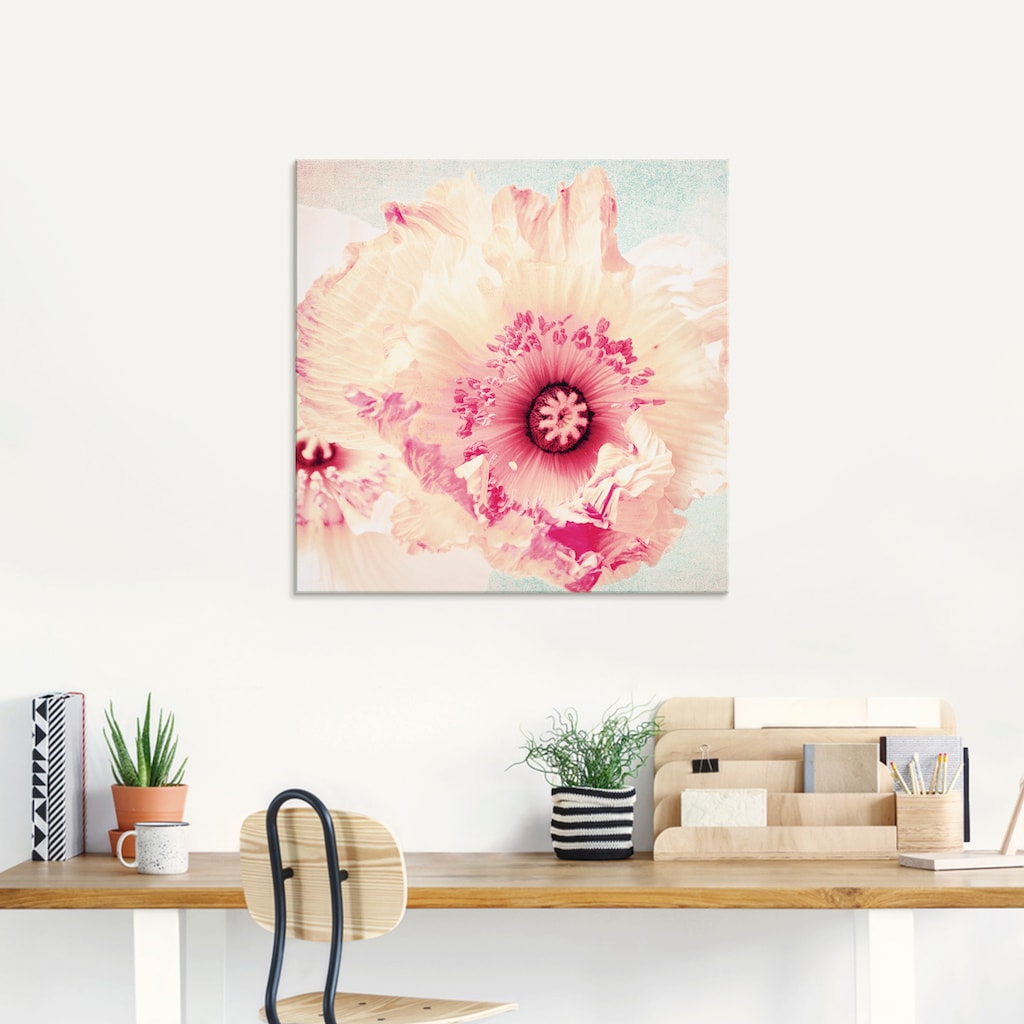 Artland Glasbild »Pastell Mohn«, Blumen, (1 St.)