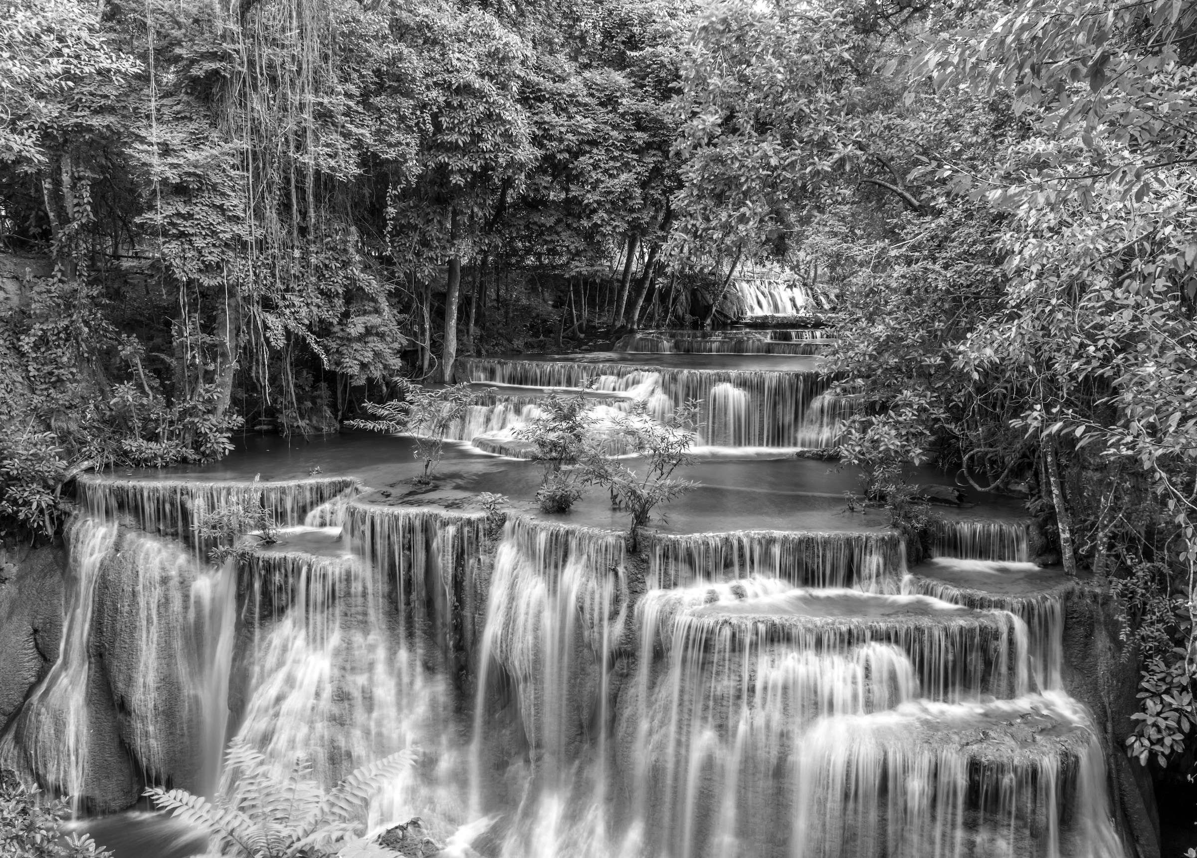 Papermoon Fototapete "Wasserfall im Wald Schwarz & Weiß"