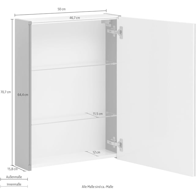 Schildmeyer Spiegelschrank »Basic«, Breite 50 cm, 1-türig, Glaseinlegeböden,  Made in Germany bestellen | BAUR