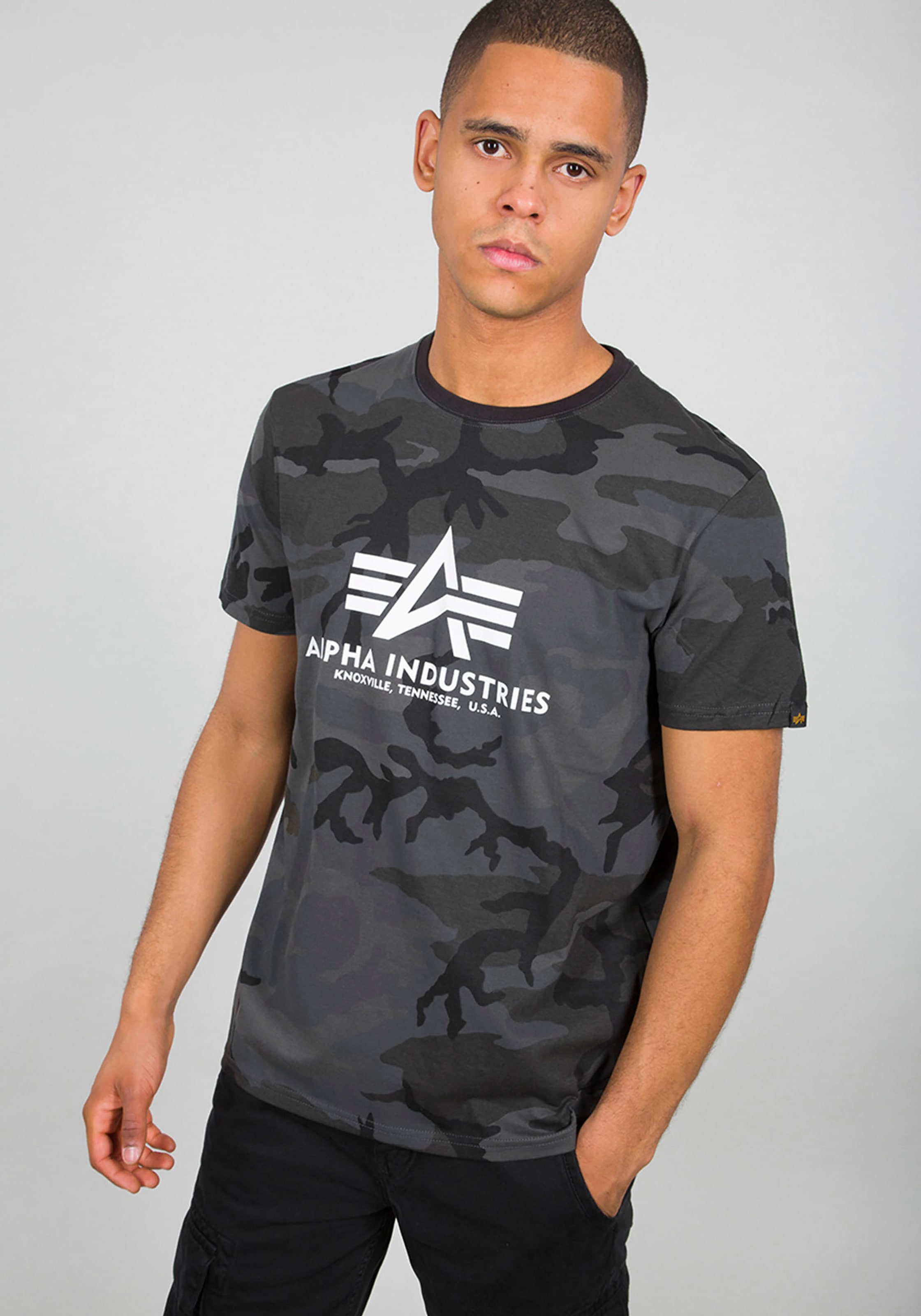 Alpha Industries T-Shirt »Basic T-Shirt«