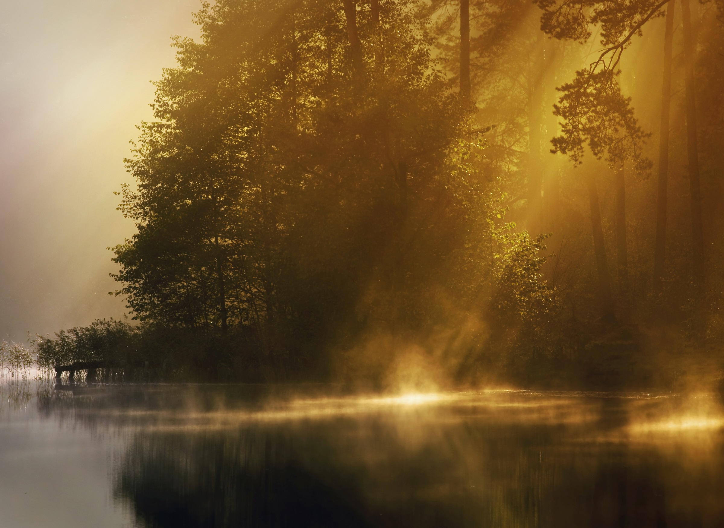 Papermoon Fototapete "Misty Early Morning" glatt