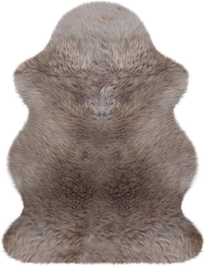Fellteppich HEITMANN FELLE "Lammfell farbig - Premium Qualität" Gr. 41, grau (taupe), B:68cm H:70mm L:100cm, Lammfell, Teppiche, Fellteppich, echtes Austral. Lammfell, besonders dicht & weich, verschiedene Größen