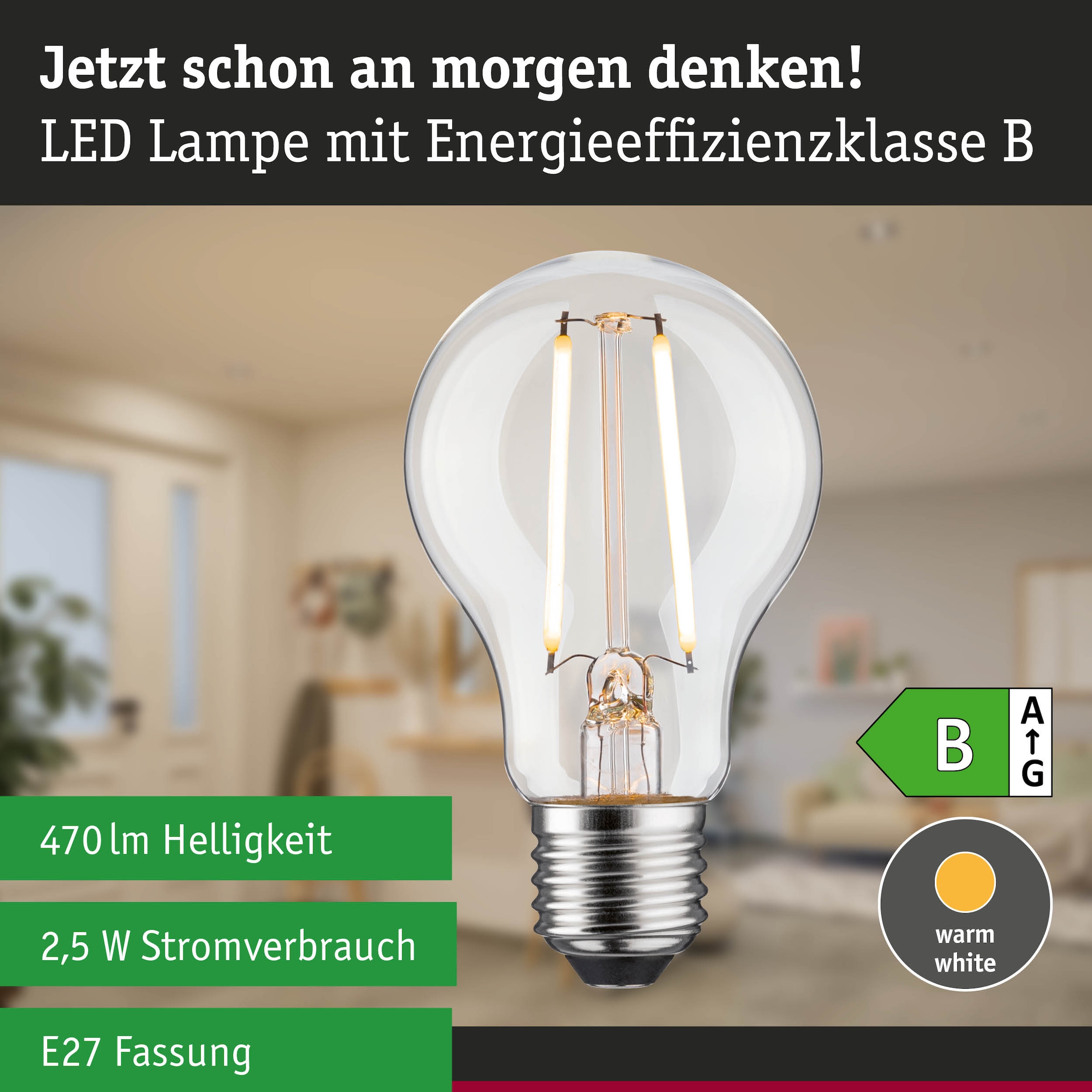 Paulmann LED-Leuchtmittel »Efficient-Line AGL 470lm 2,5W 3000K klar 230V« E27 1 Stk. Warmweiß