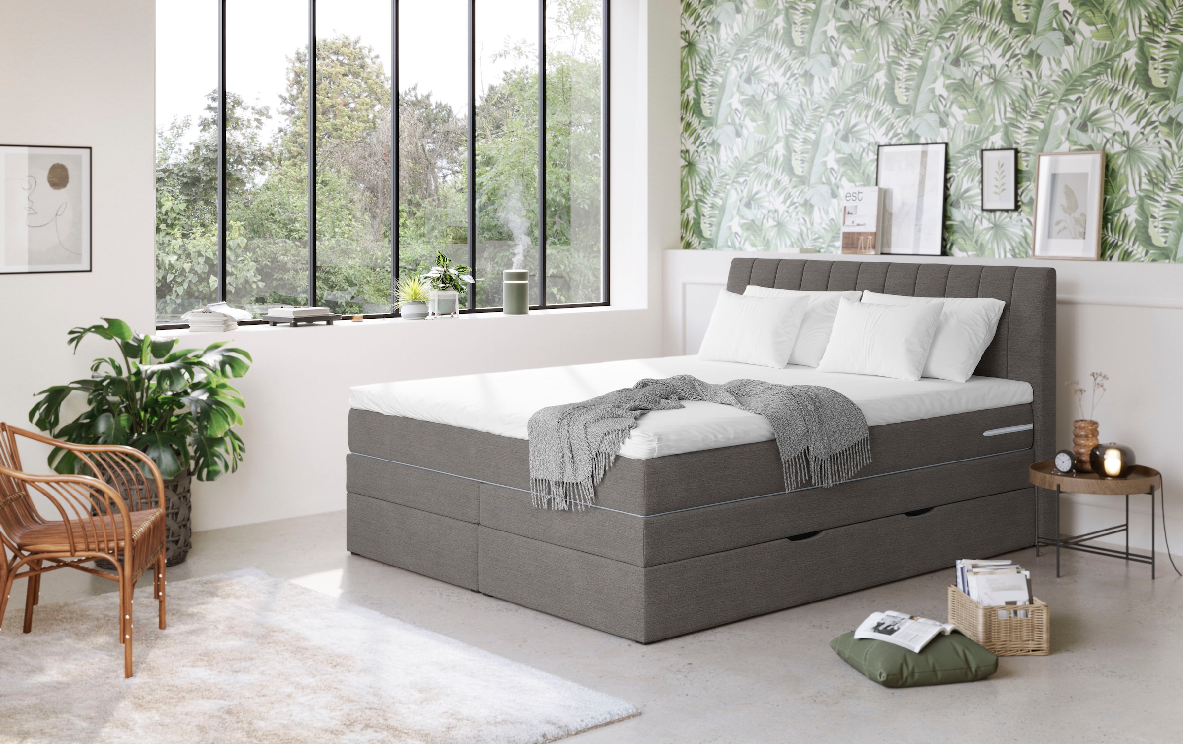 COTTA Boxspringbett "Shark inkl. Bettkasten und Topper" erhältlich in den Breiten 140x200cm, 160x200cm und 180x200cm