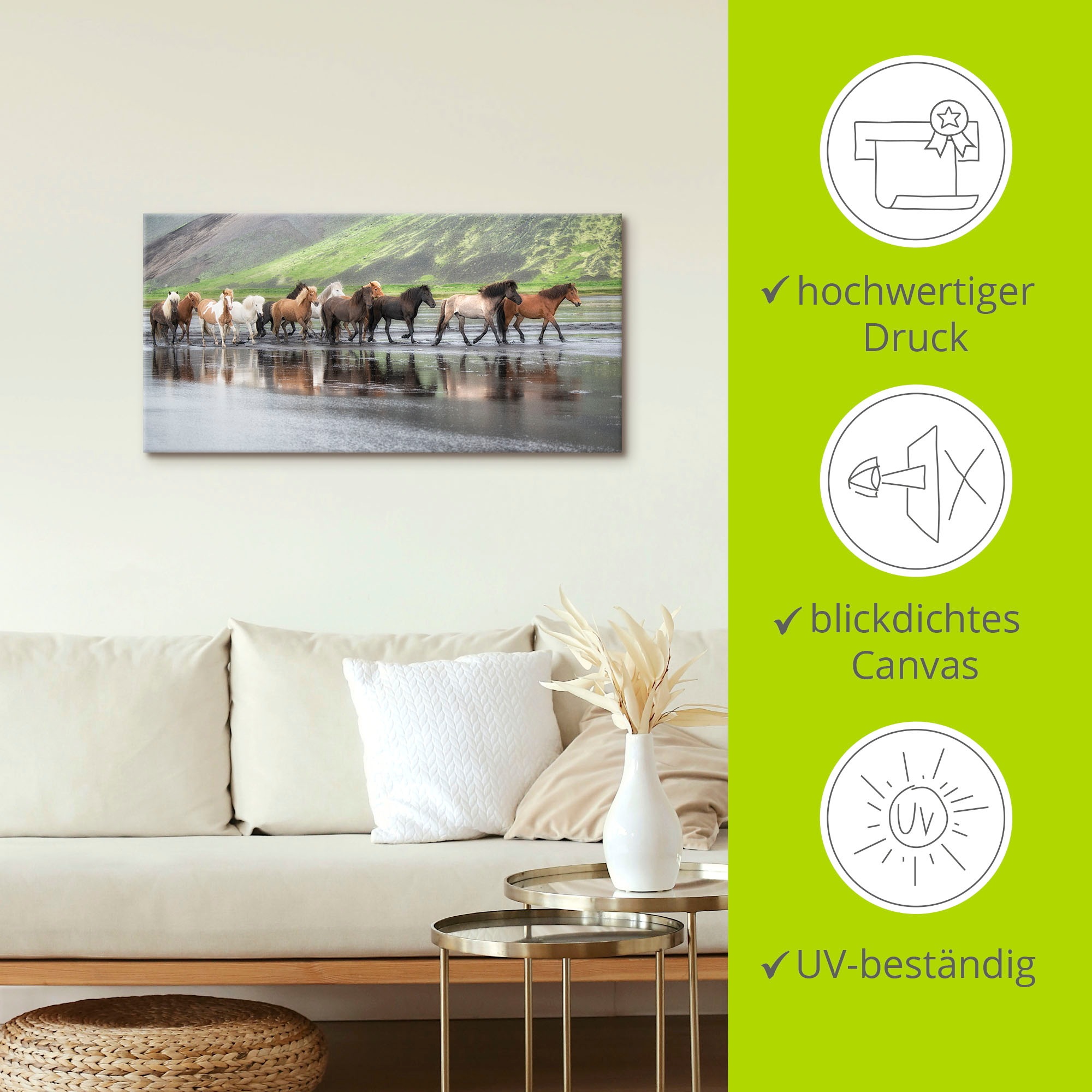 Artland Wandbild »Isländische Pferde XIV«, Haustiere, (1 St.), als Leinwandbild, Wandaufkleber in verschied. Größen