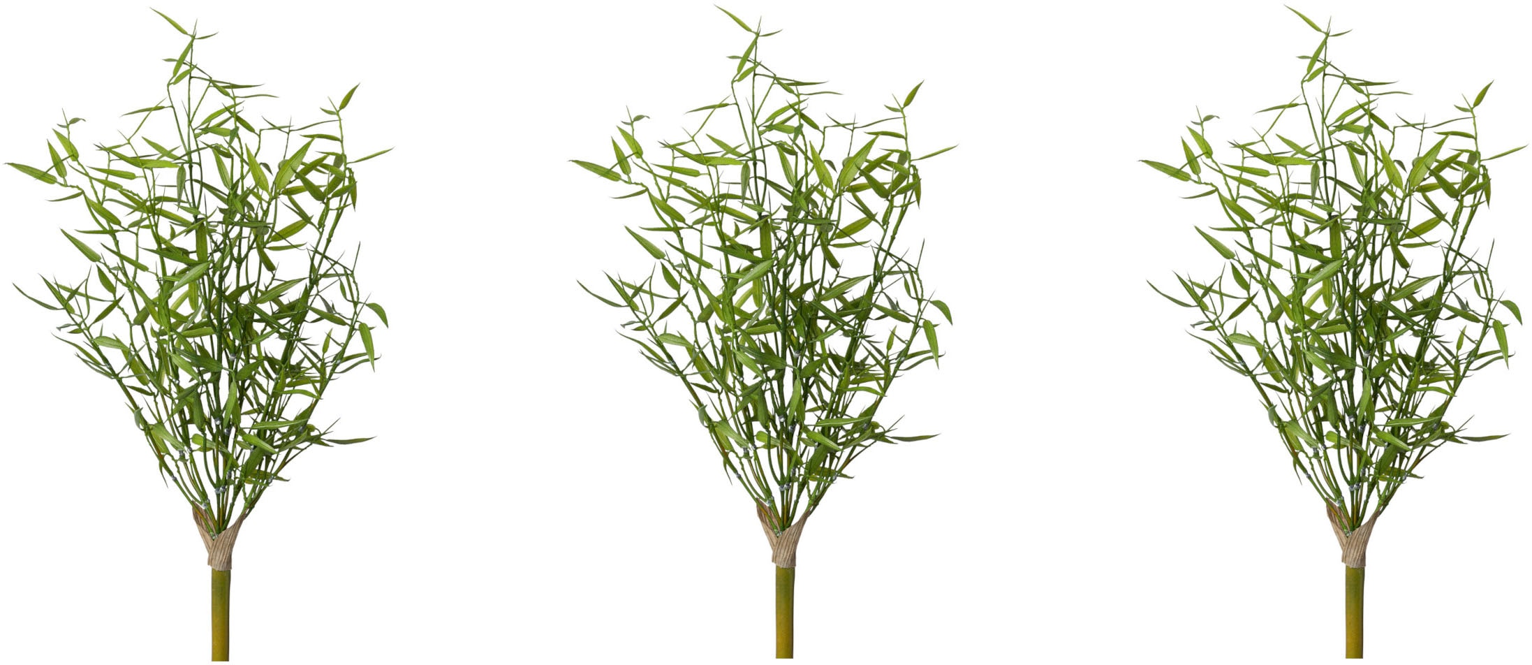 Creativ green Künstliche Zimmerpflanze »Bambus«