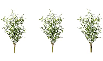 Creativ green Künstliche Zimmerpflanze »Bambus«, (3 St.) kaufen