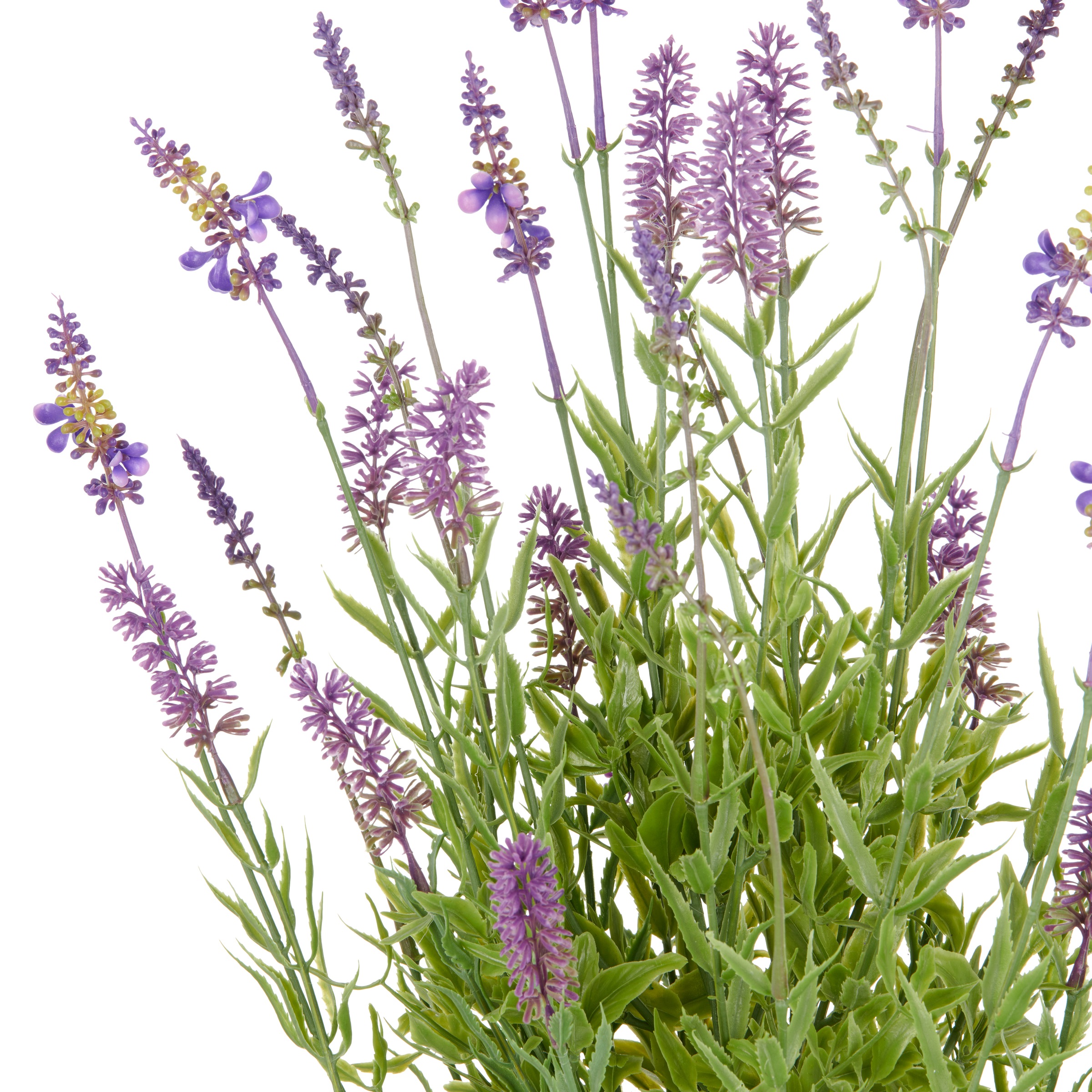 Creativ green Kunstpflanze "Lavendel", mit filigranen Lavendelbüten günstig online kaufen