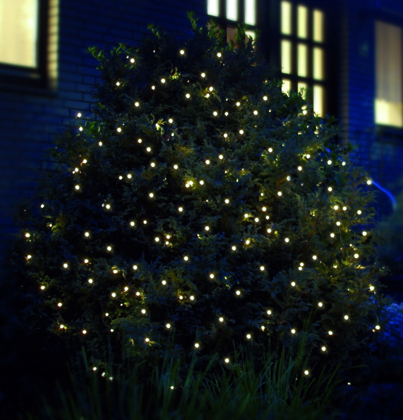 Star-Max LED-Lichternetz »Weihnachtsdeko aussen...