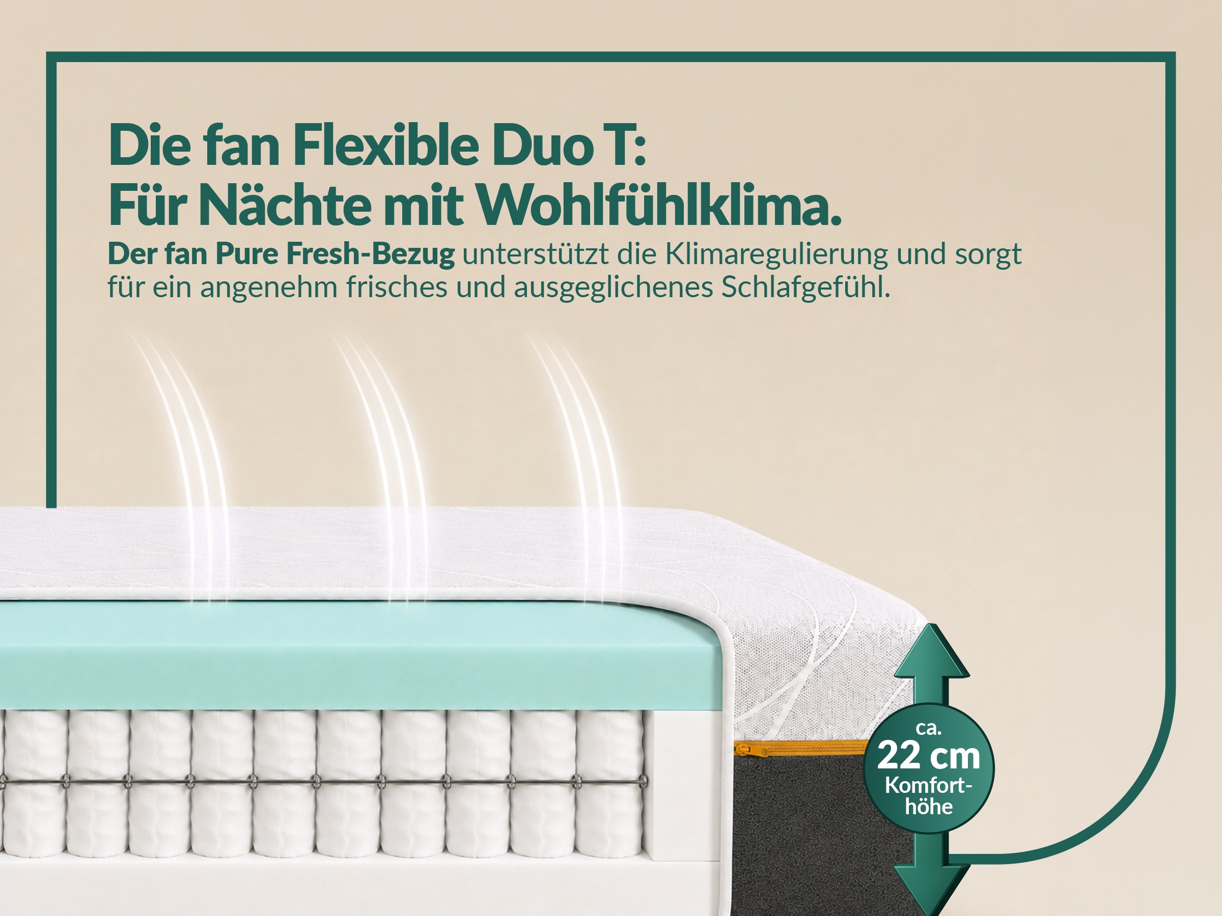 fan Taschenfederkernmatratze »fan Flexible Duo T, Matratze 90x200 cm, 140x200 cm & mehr, in H2/H3« 22 cm hoch 1.034 Federn 1 Stk. tlg. Wendematratze mit Pure Fresh-Bezug, 1034 Federn (bei 100x 200 cm)