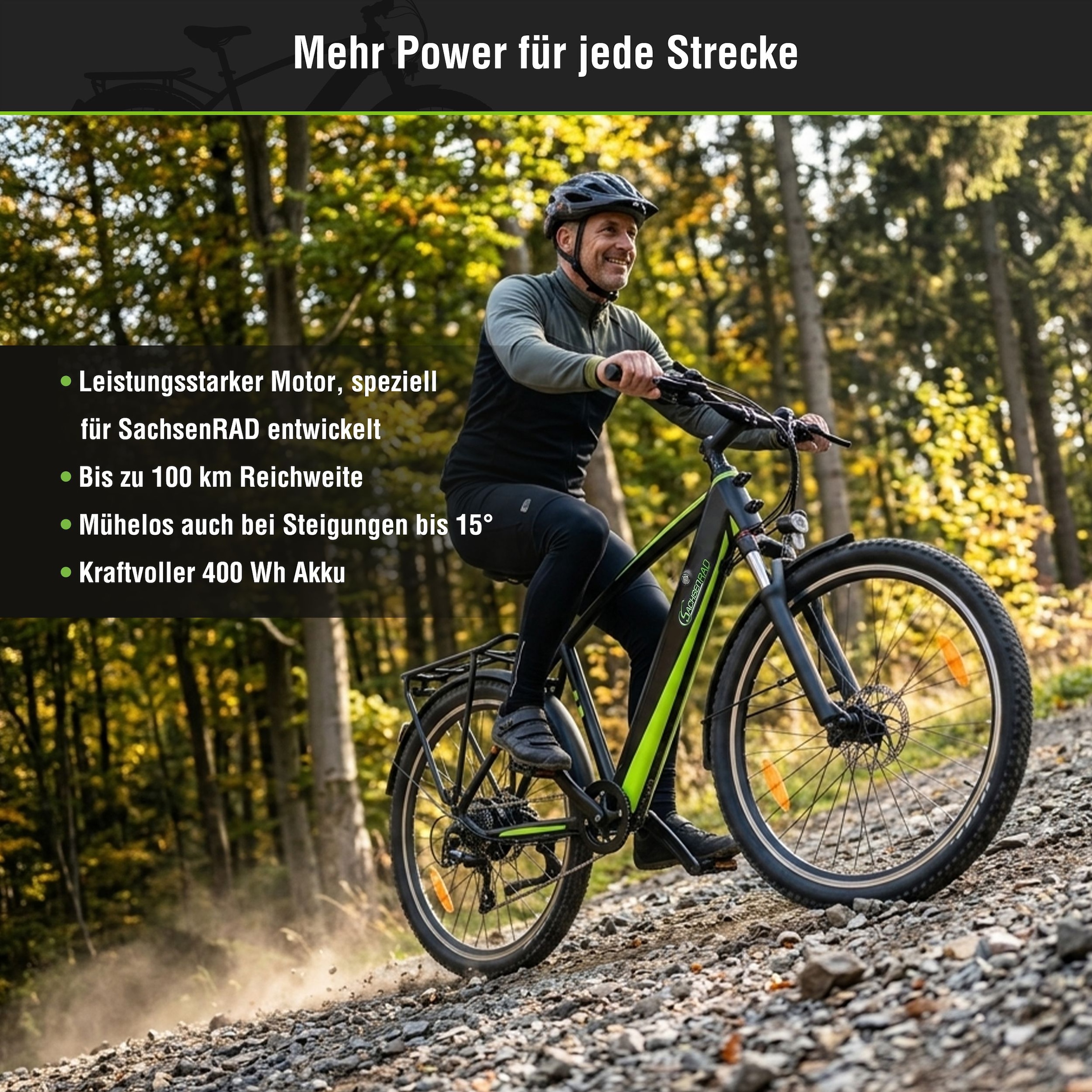 SachsenRad »R8T Flex III mit Gepäckträger« 9 Gang Shimano Kettenschaltung Heckmotor 250 W