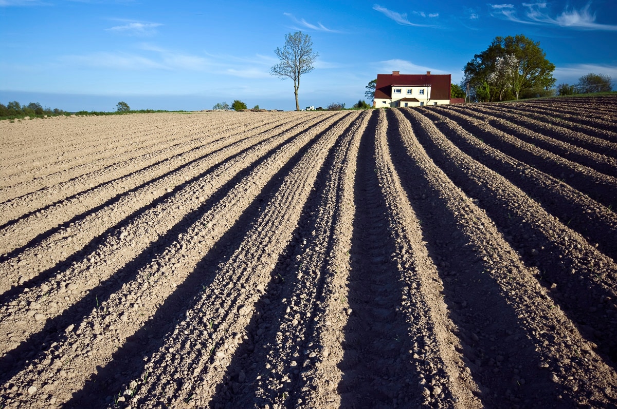 Papermoon Fototapete »Feld«