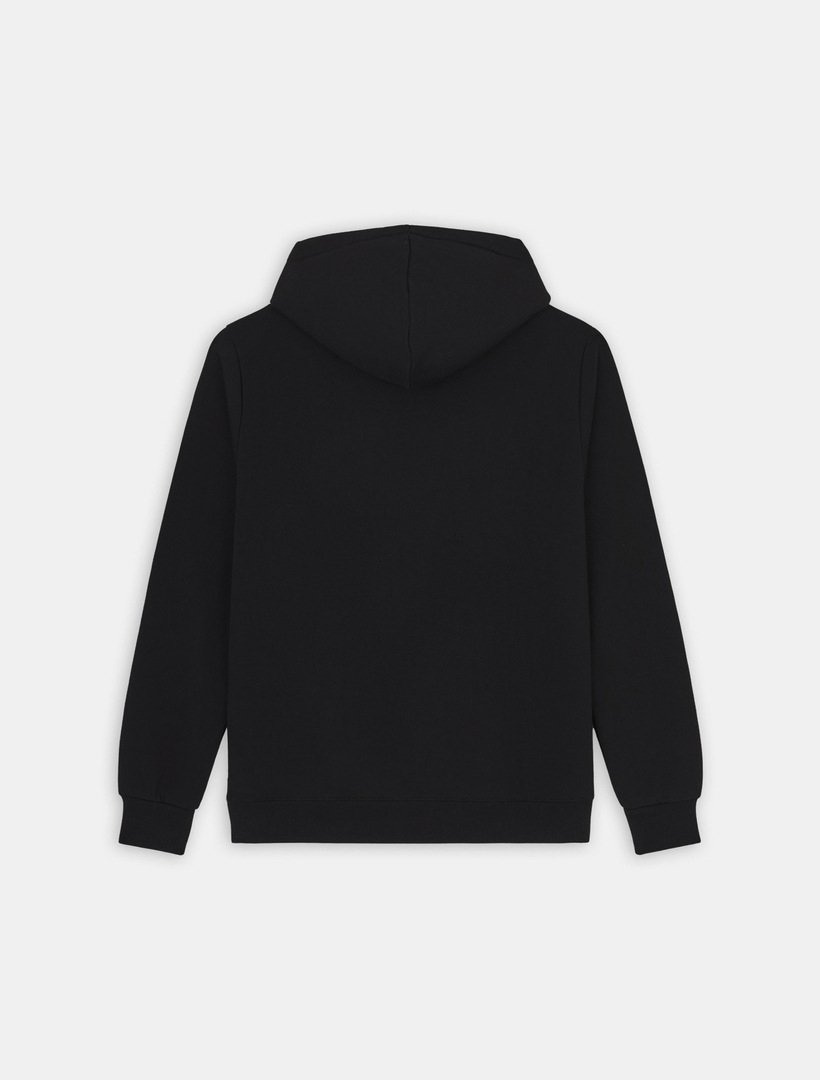 Dickies Kapuzensweatshirt »Dickies Workwear Sweatshirt ICON LOGO HOODIE«