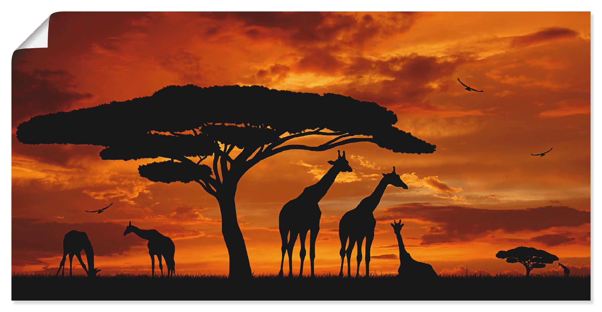 Artland Wandbild "Herde von Giraffen im Sonnenuntergang" Wildtiere 1 Stk. tlg. als Leinwandbild, Poster in verschied. Größen