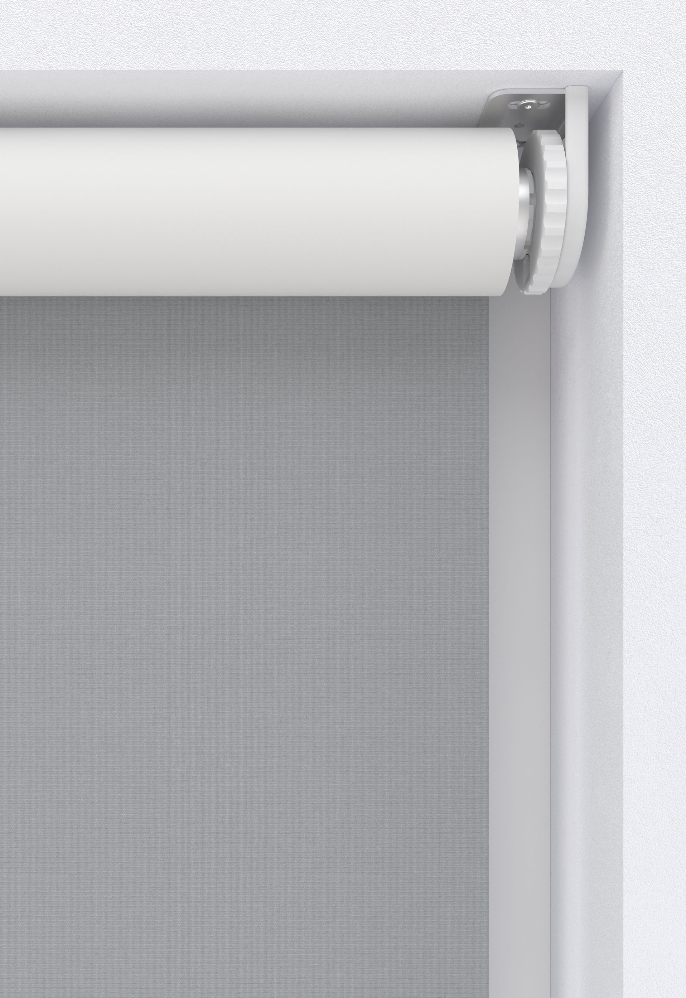 my home Springrollo "Tia" abdunkelnd Sichtschutz  Verdunkelung  energiespar günstig online kaufen