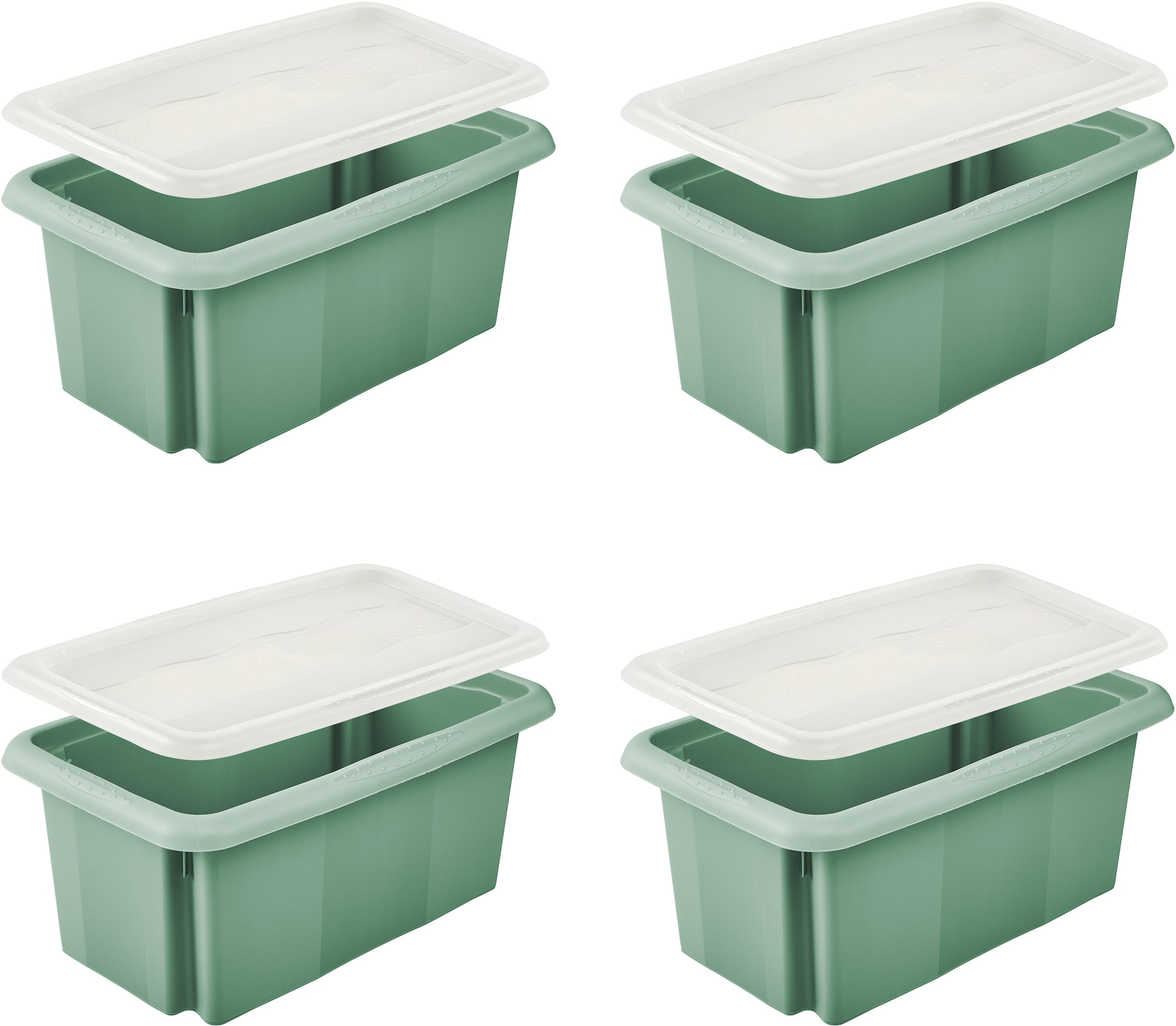 keeeper Aufbewahrungsbox "Emil, 4er Set, 7 L, 35 x 20,5 x 15 cm" ineinander günstig online kaufen