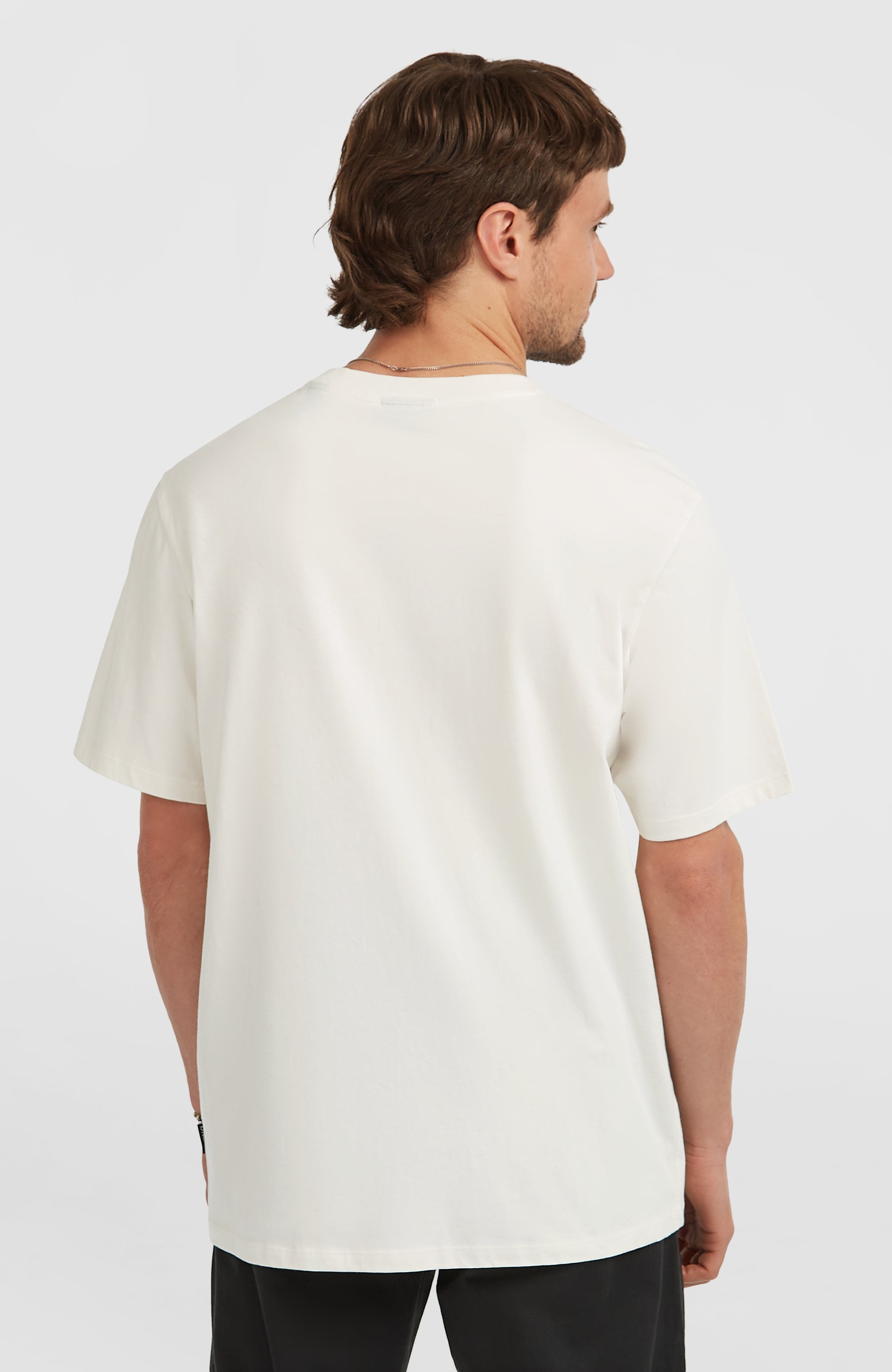 ONeill T-Shirt "ONEILL CHEST PRINT T-SHIRT" 1 Stk. sportlicher Stil, für ve günstig online kaufen