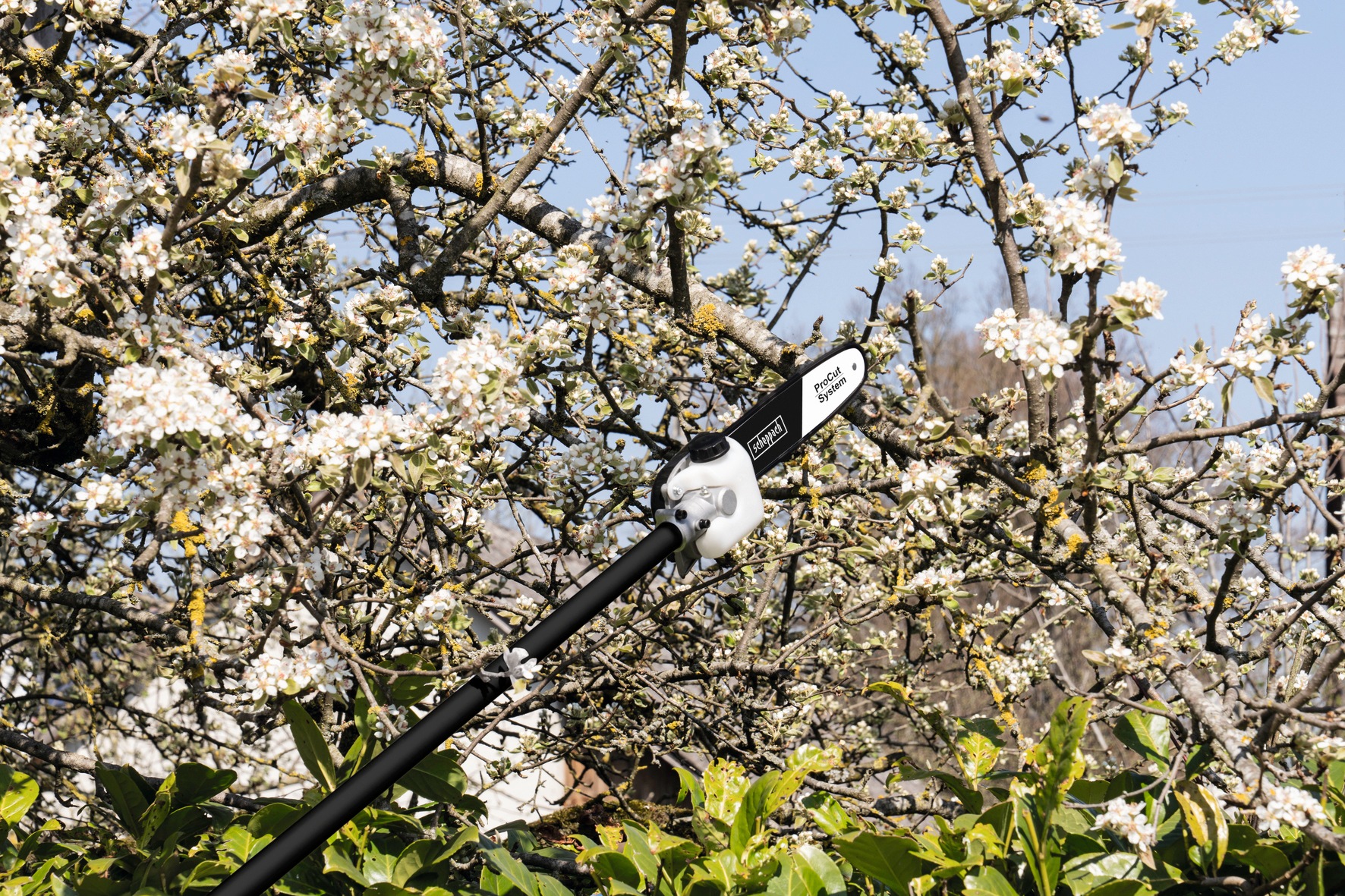 Thumbnail - Scheppach Benzin-Motorsense "MFH5200-4P 4in1 ProCut" Multifunktionswerkzeug 4in1