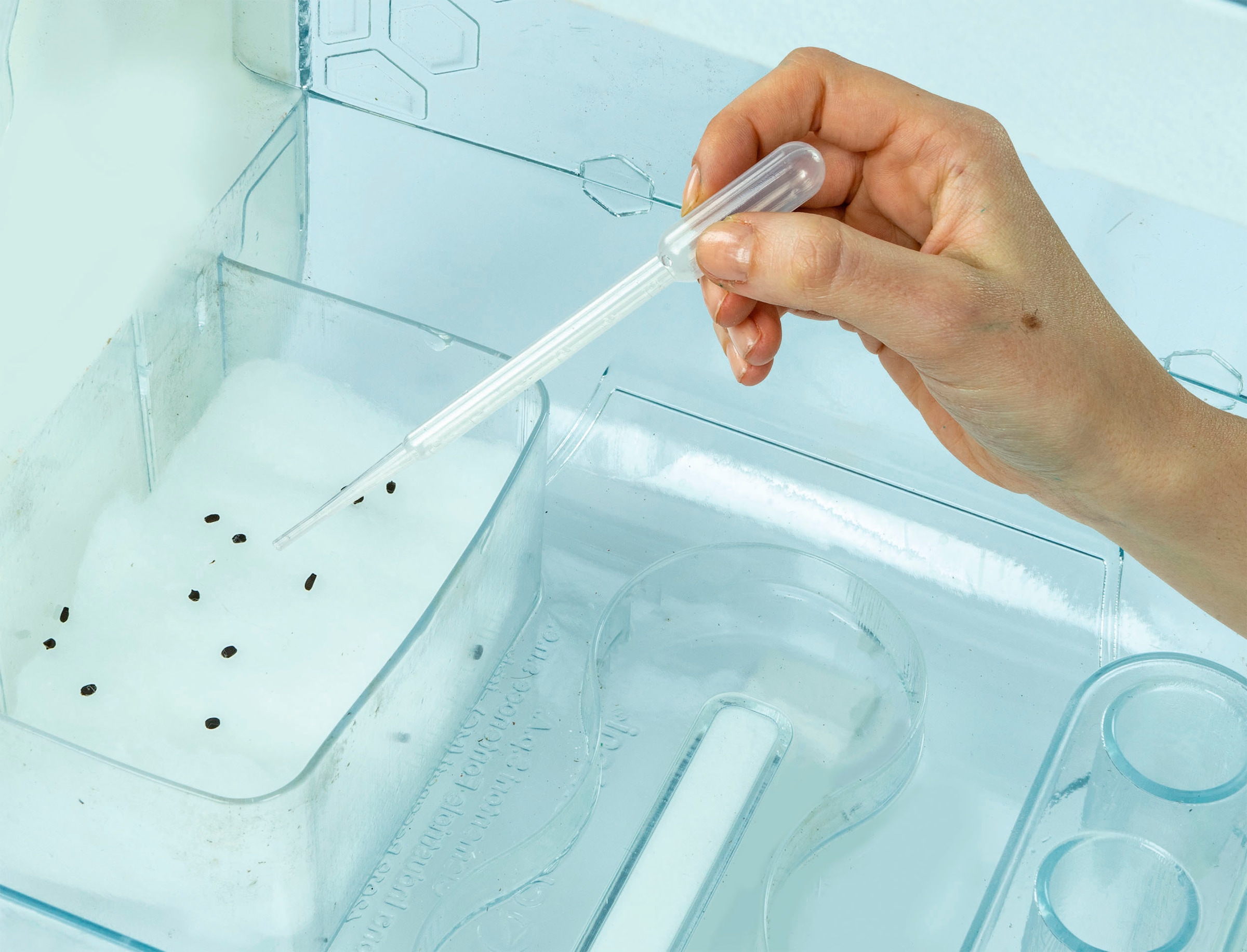 Clementoni® Experimentierkasten »Galileo Lab, High Tech Gewächshaus«