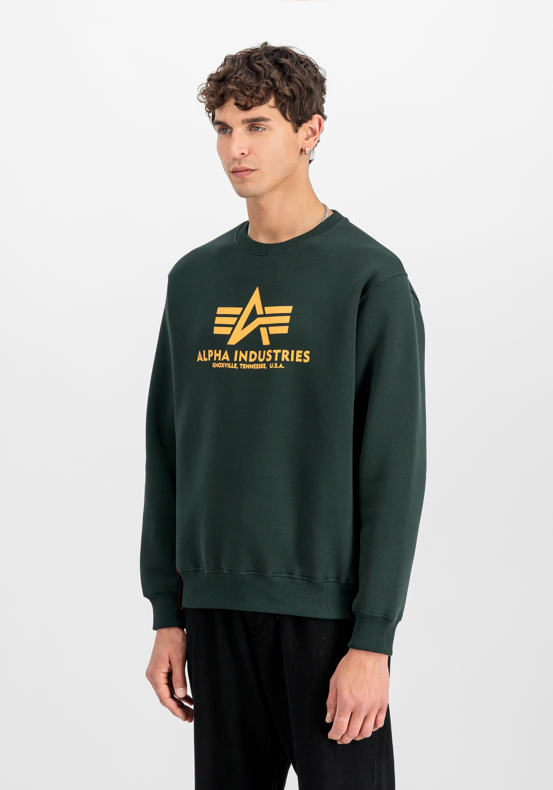 Alpha Industries "Basic Sweater", Baumwollmischung, regular fit günstig online kaufen