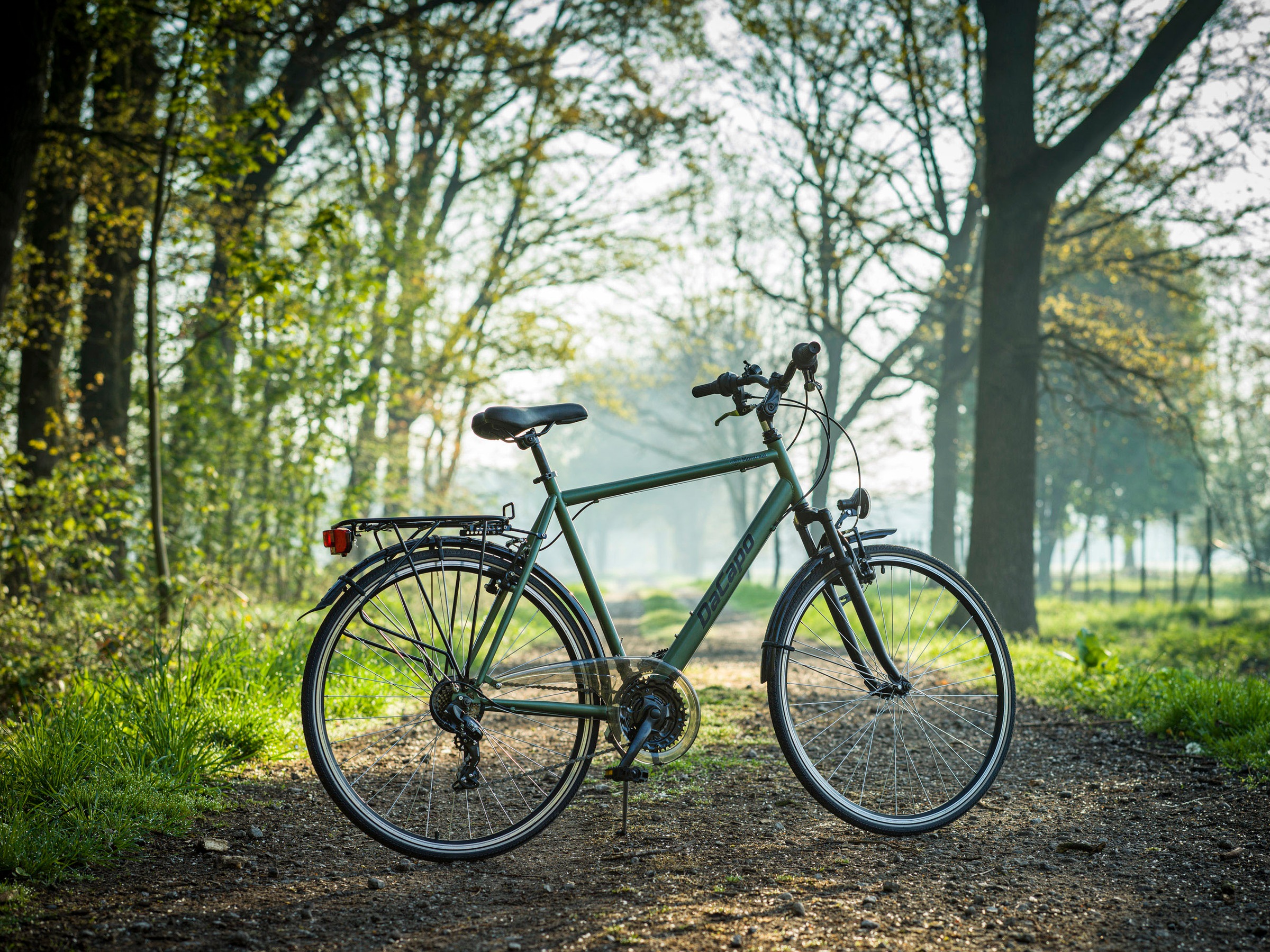 Dacapo Trekkingrad »Trekkingrad Herren 28'' Montreal Olivgrün 21 Gänge RH 58 cm«, 21 Gang, Kettenschaltung