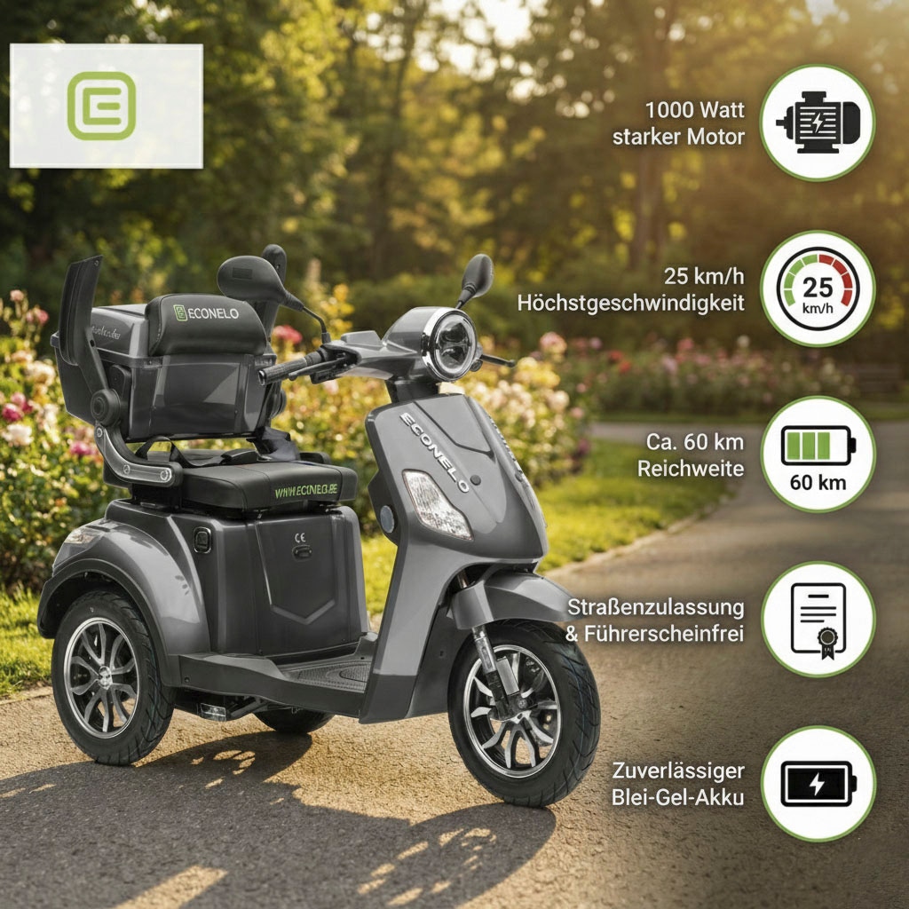ECONELO Elektromobil »Seniorenmobil P1000, Blei-Akku, 25 km/h, 1000 Watt« 1.000 W 25 km/h