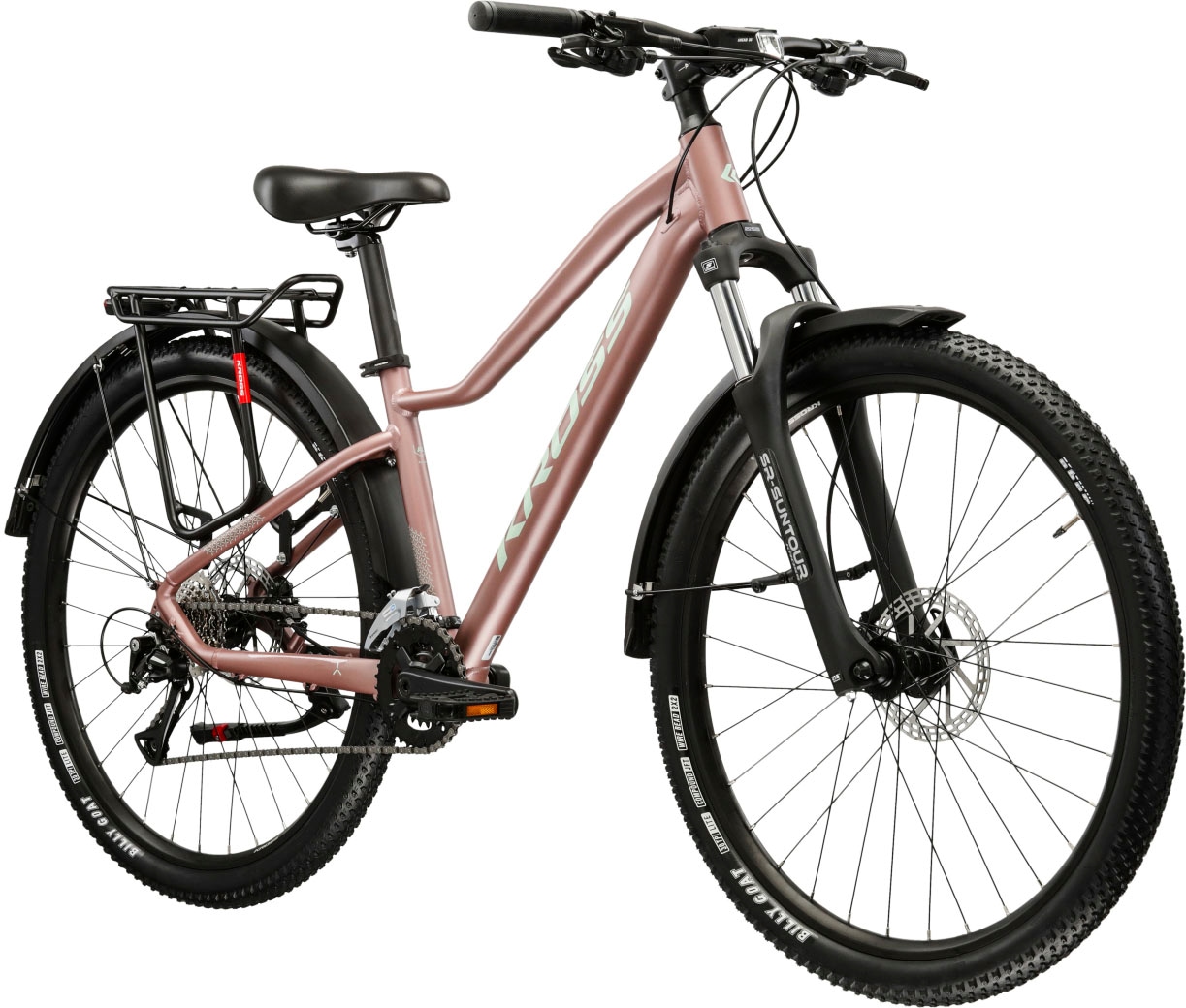 Kross Mountainbike »Damen Hardtail Lea 4.0 EQ«, 16 Gang, Shimano, ACERA M3020 Schaltwerk, Kettenschaltung