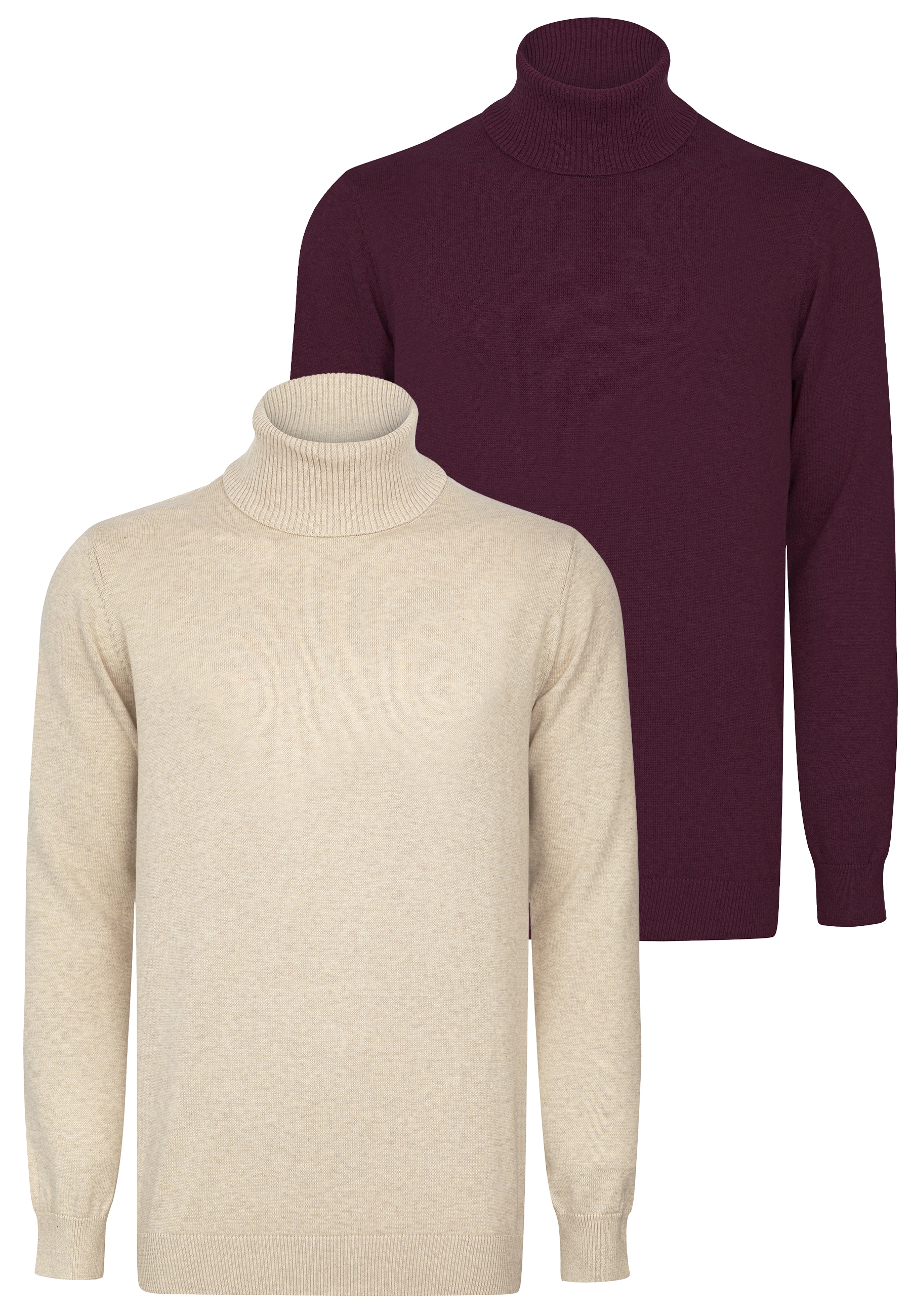 Felix Hardy Rollkragenpullover "Rollkragenpullover 2er-Pack" günstig online kaufen