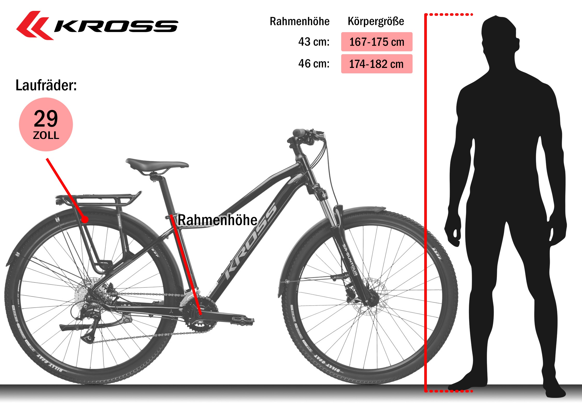 Kross Mountainbike »KROSS Mountainbike Hardtail 29" LEA 4.0 EQ grün 16 Gänge« 16 Gang Shimano ACERA M3020 Schaltwerk Kettenschaltung