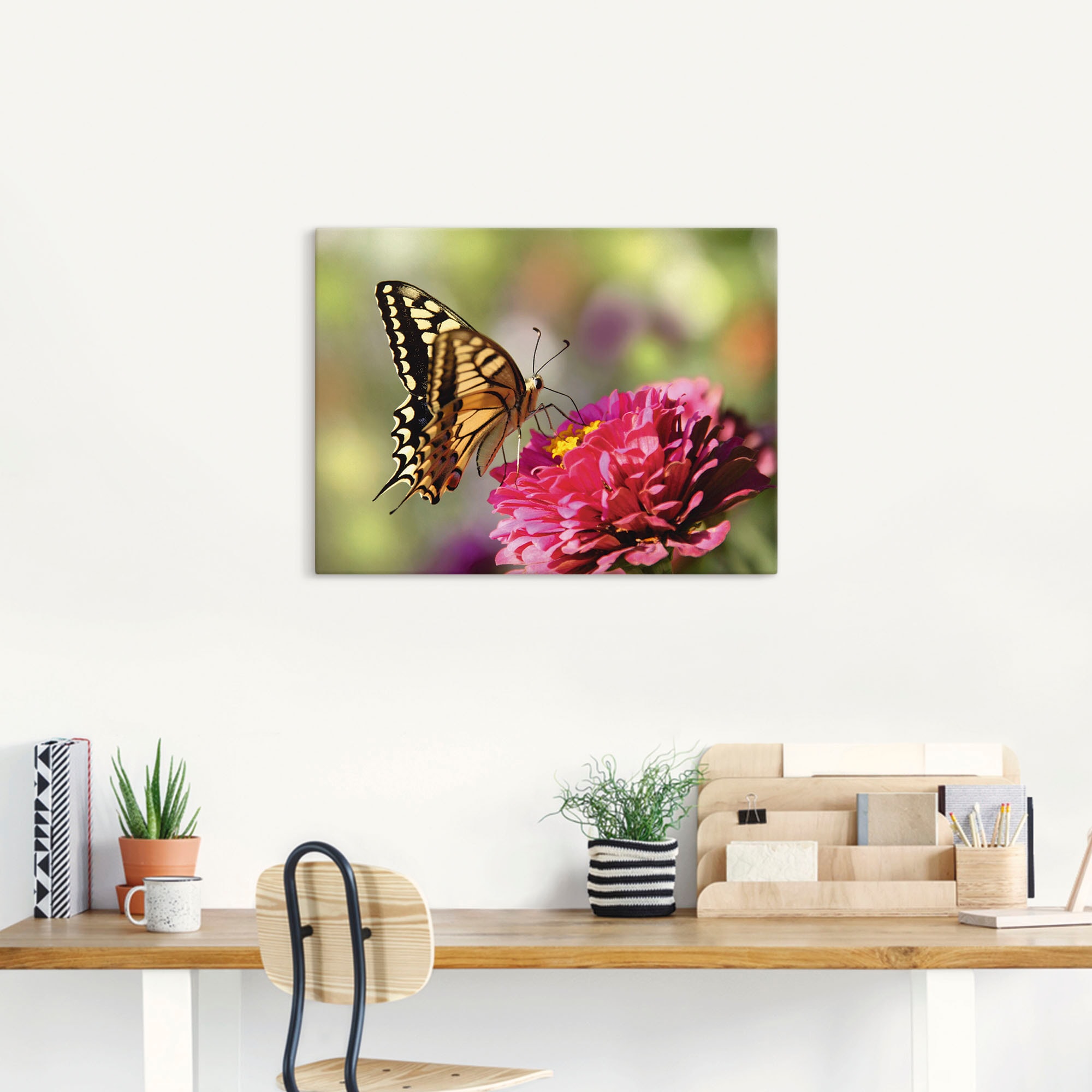 Artland Leinwandbild »Schmetterling«, Insekten, (1 St.), auf Keilrahmen gespannt
