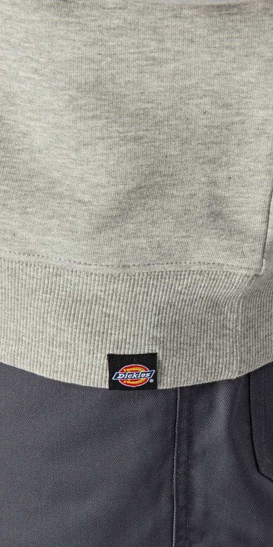 Dickies Sweatshirt »Okemo-Graphic«